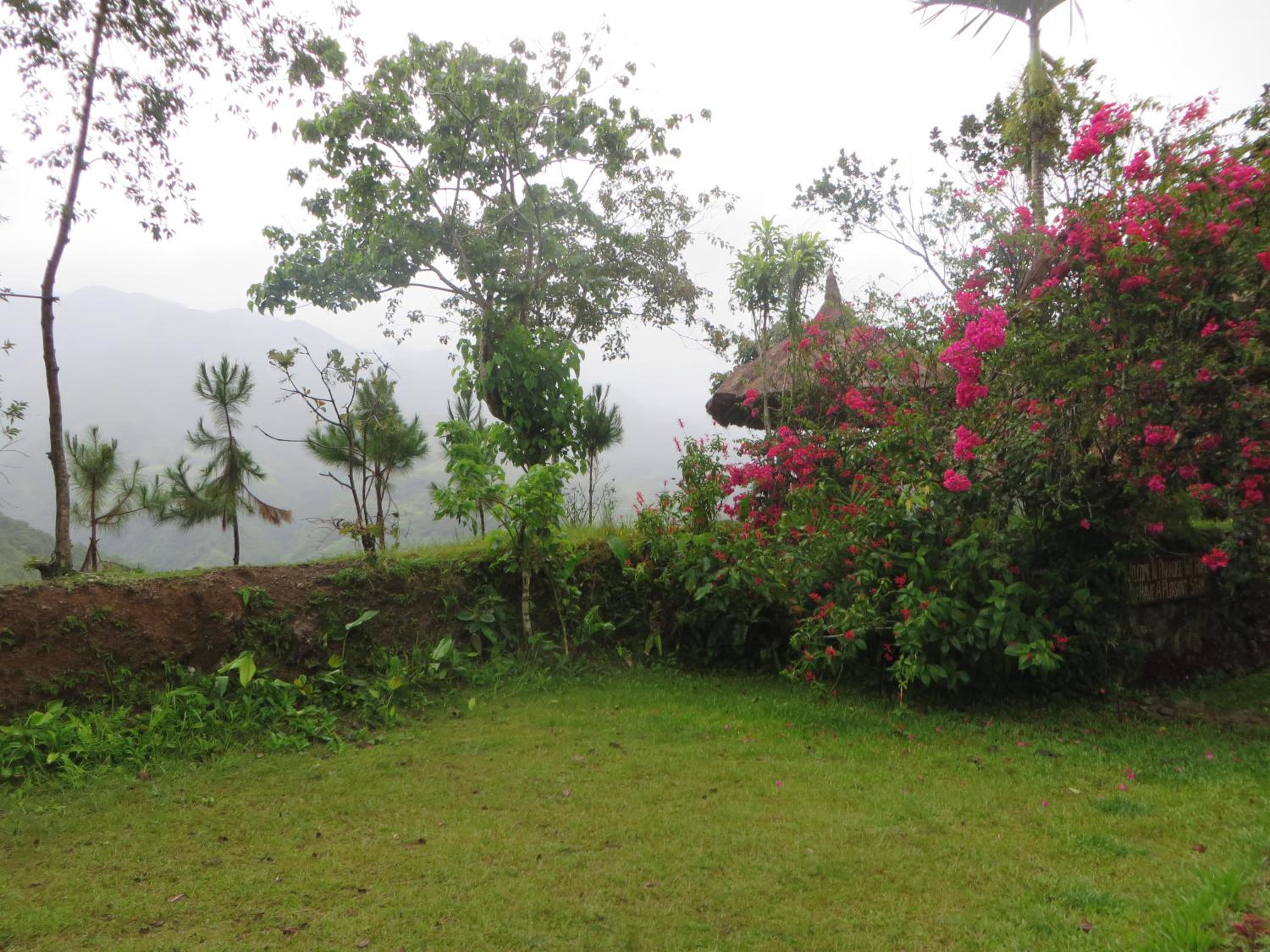Native Village Inn, Banaue - 16