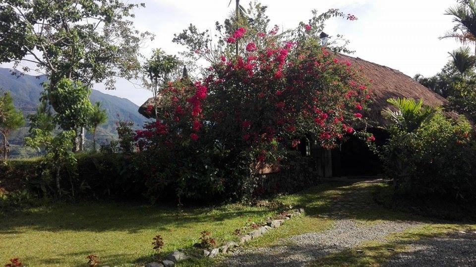 Native Village Inn, Banaue - 12