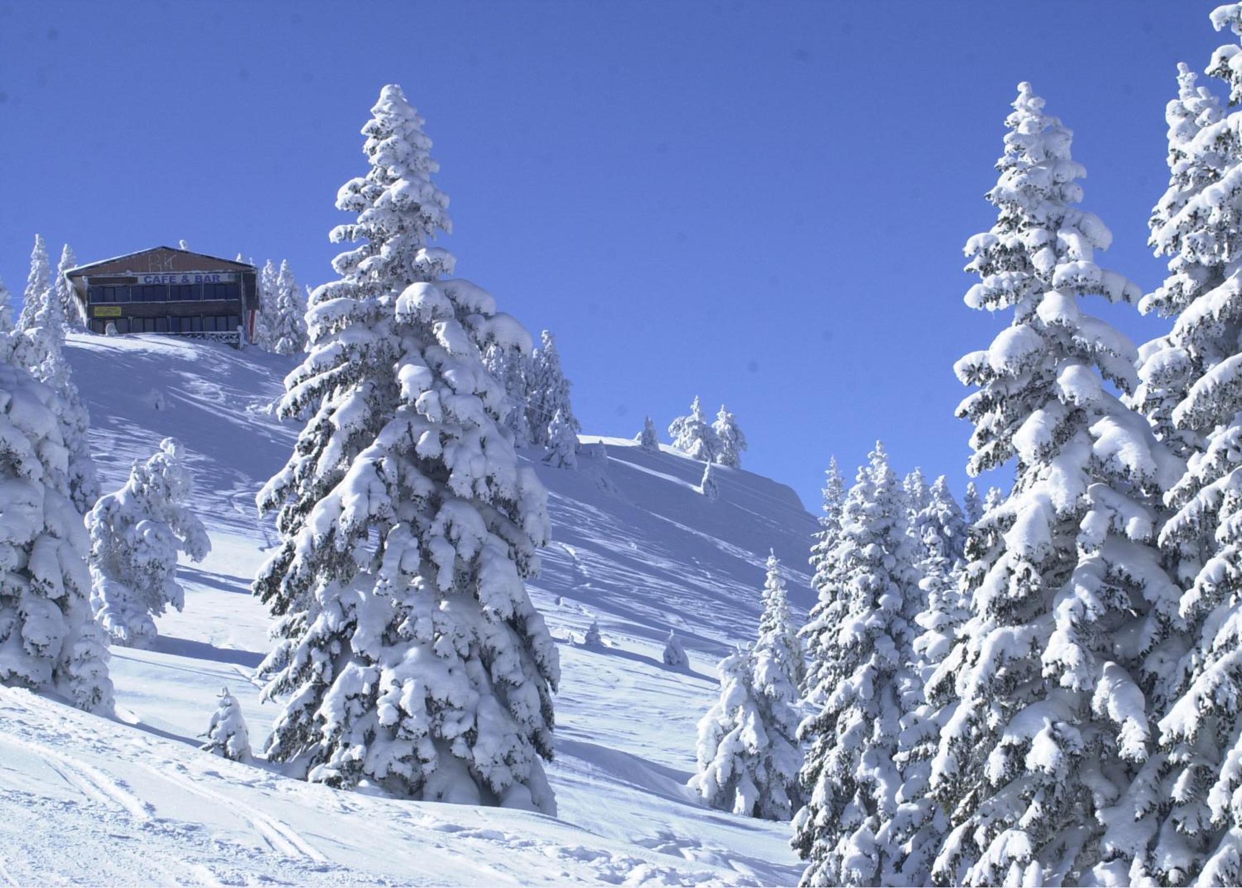 Ilgaz Mountain Resort Hotel