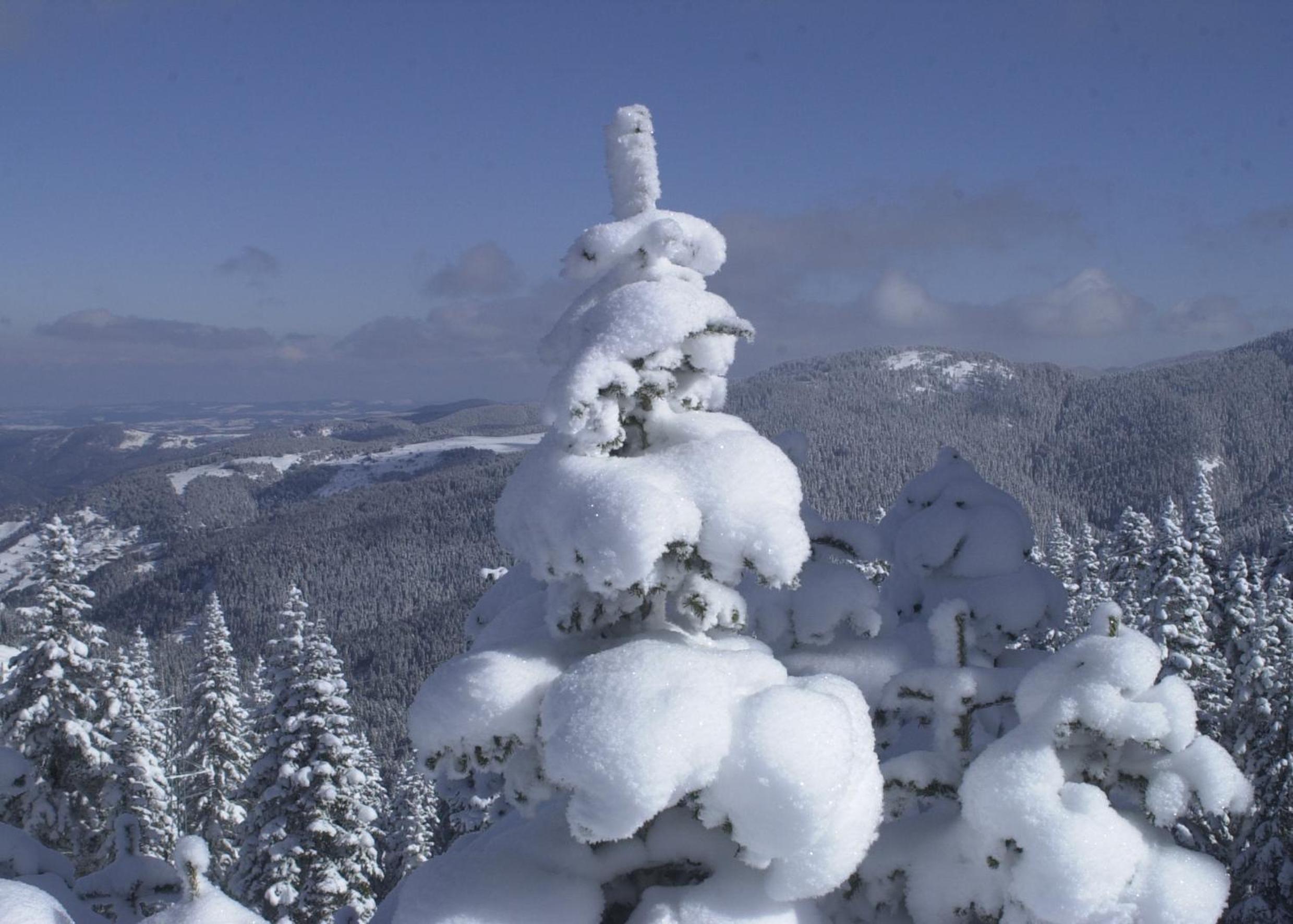 Ilgaz Mountain Resort Hotel