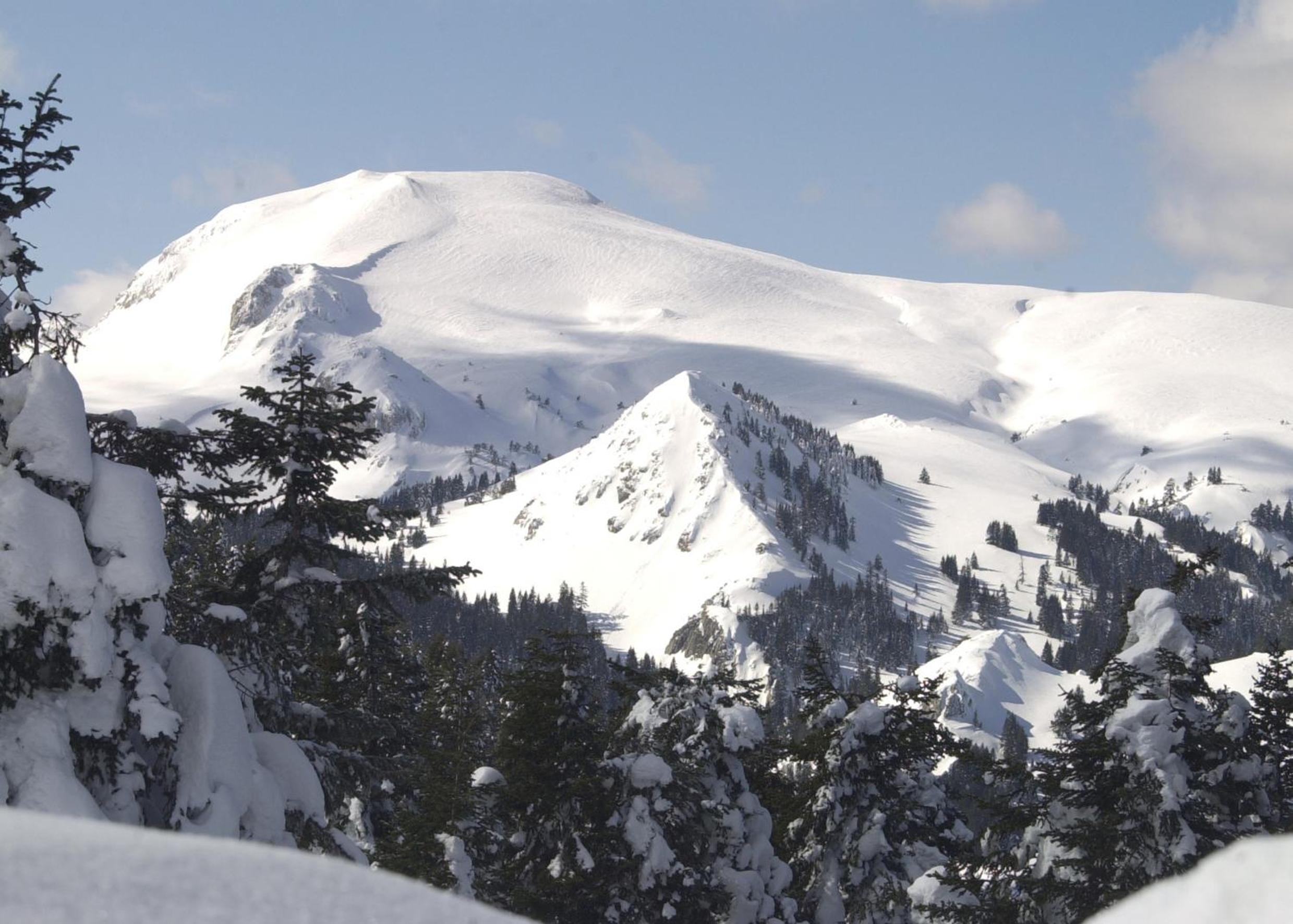 Ilgaz Mountain Resort Hotel