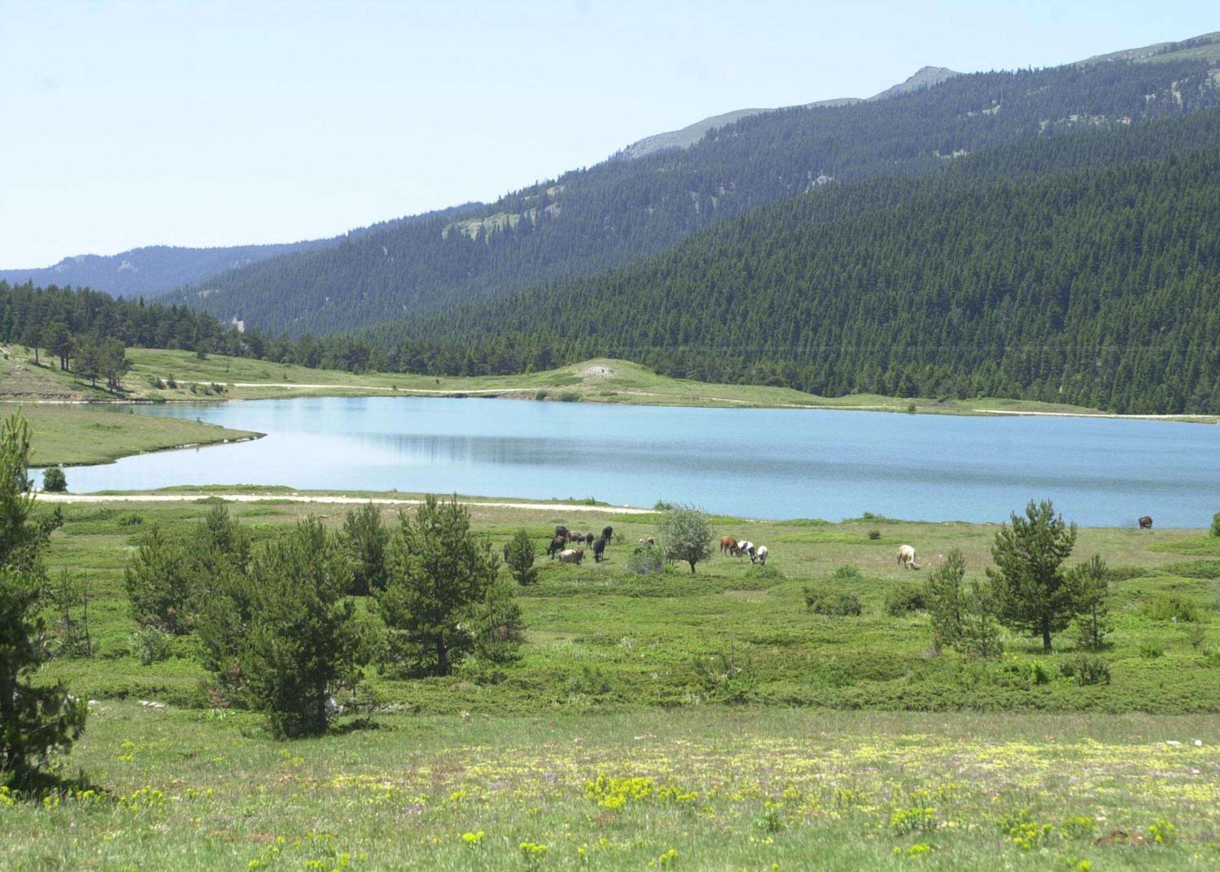 Ilgaz Mountain Resort Hotel