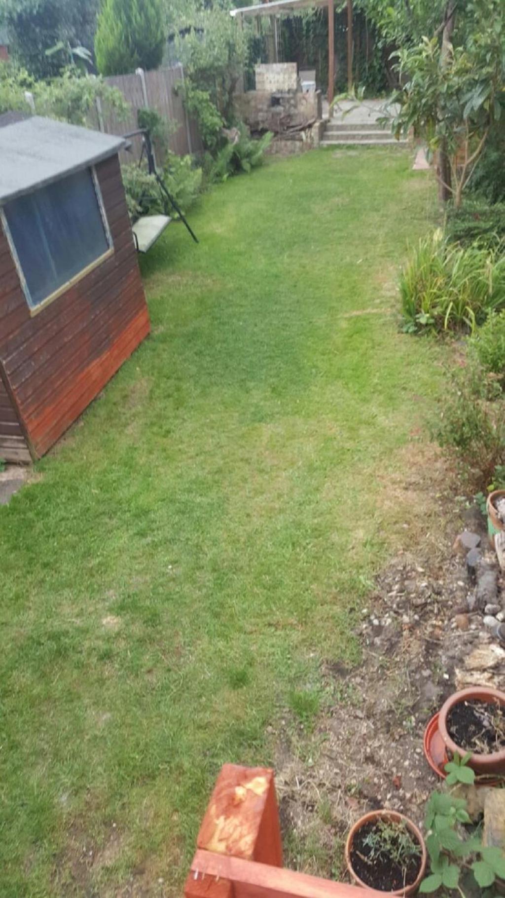 garden