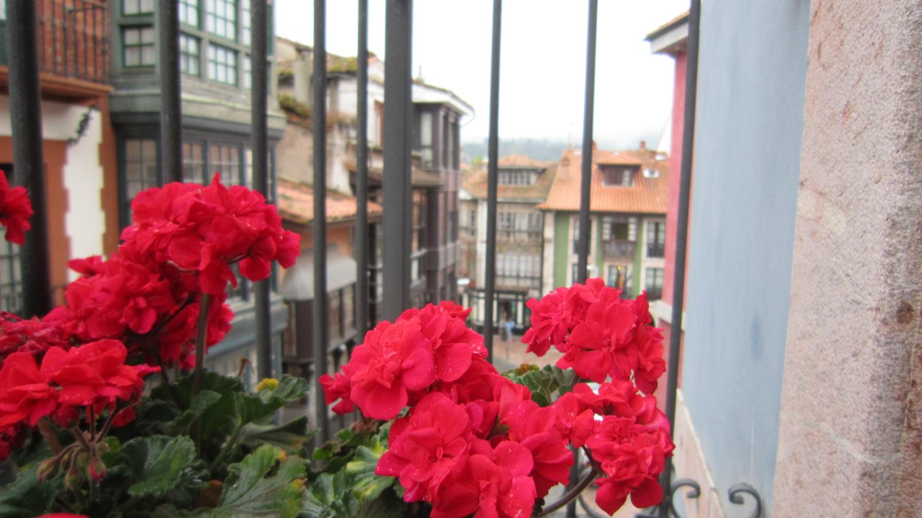 Estudio Azul Paraíso view 5
