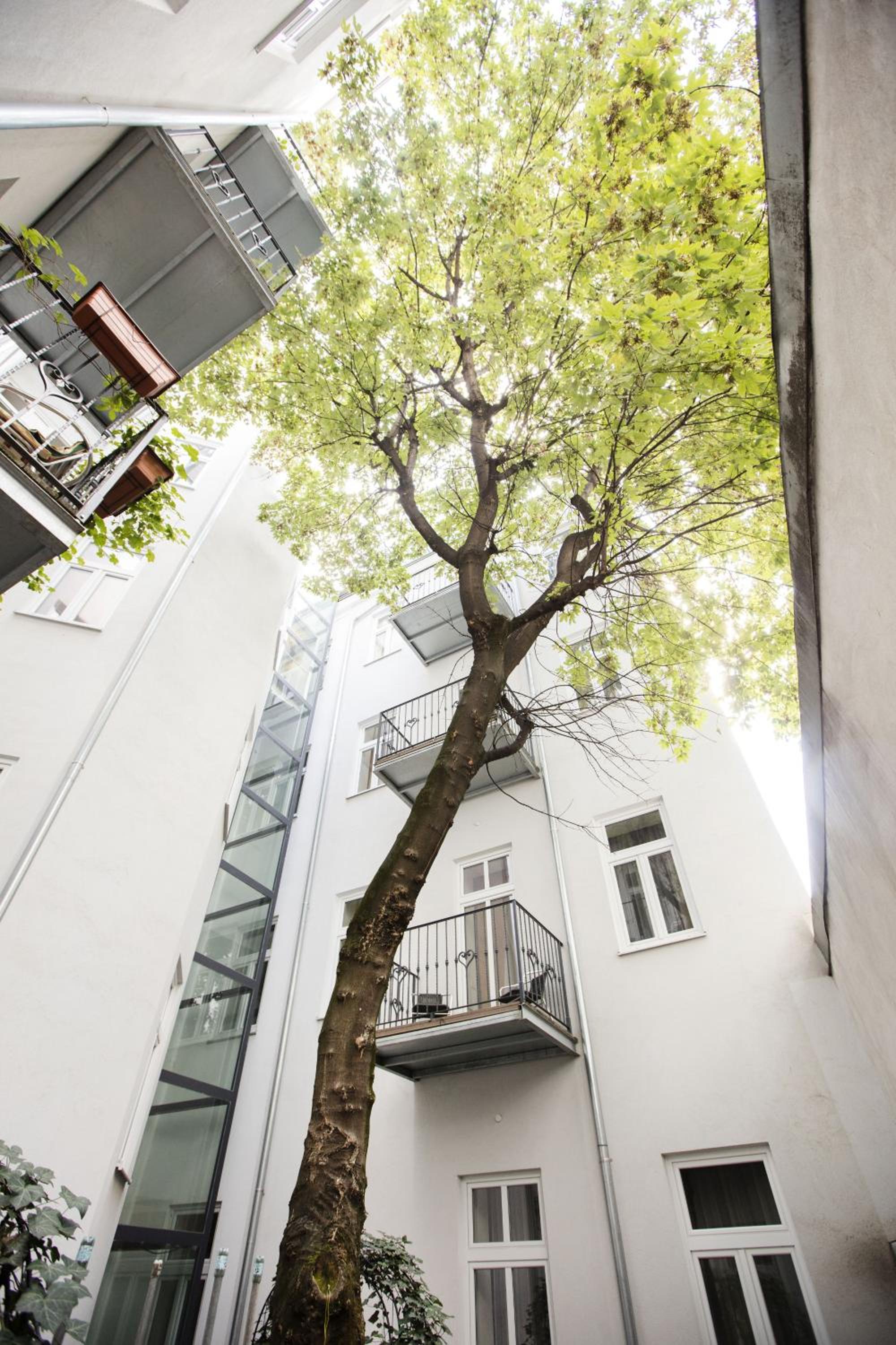 Apartment Nestroygasse