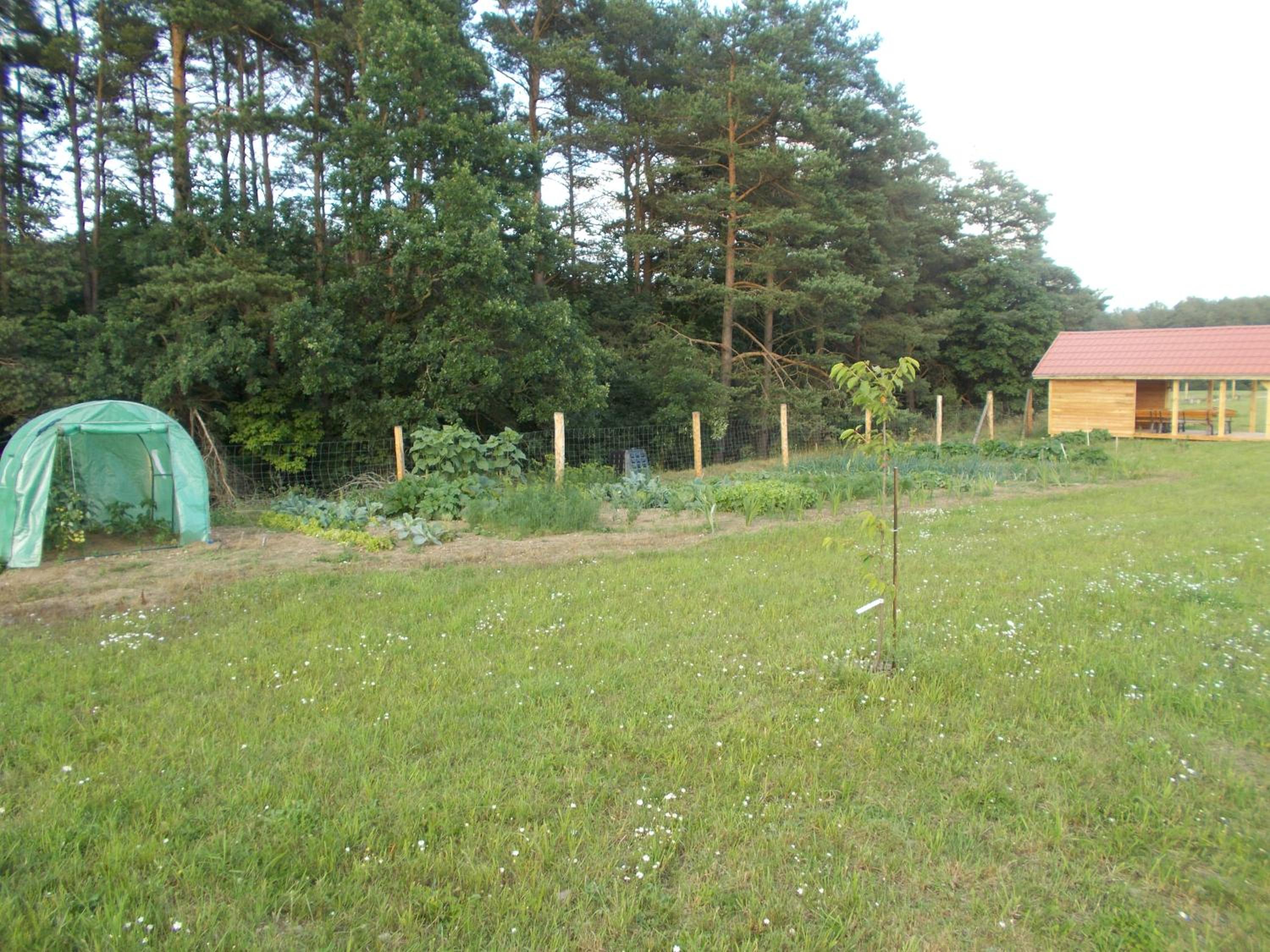 Photo 14