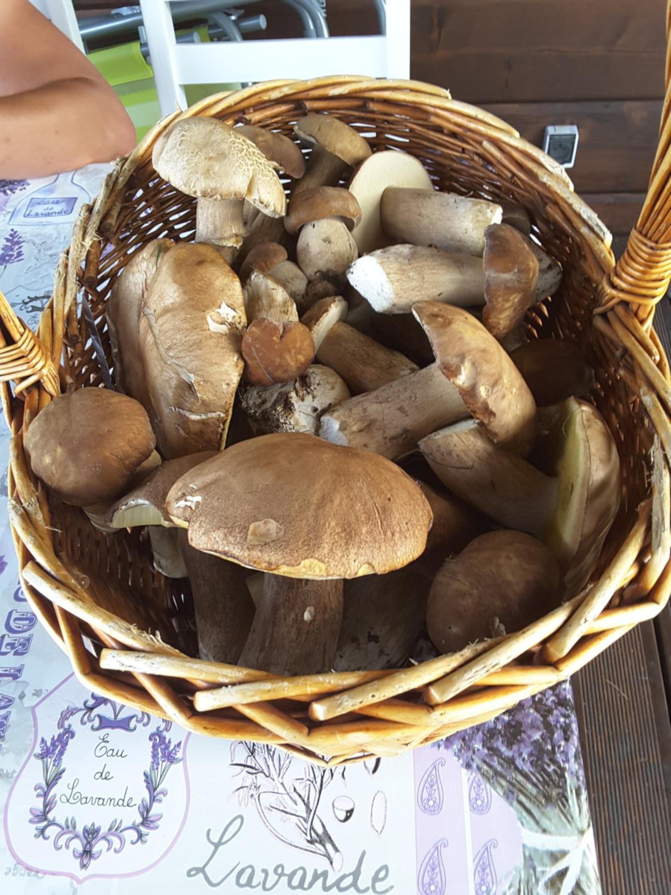 Photo 17