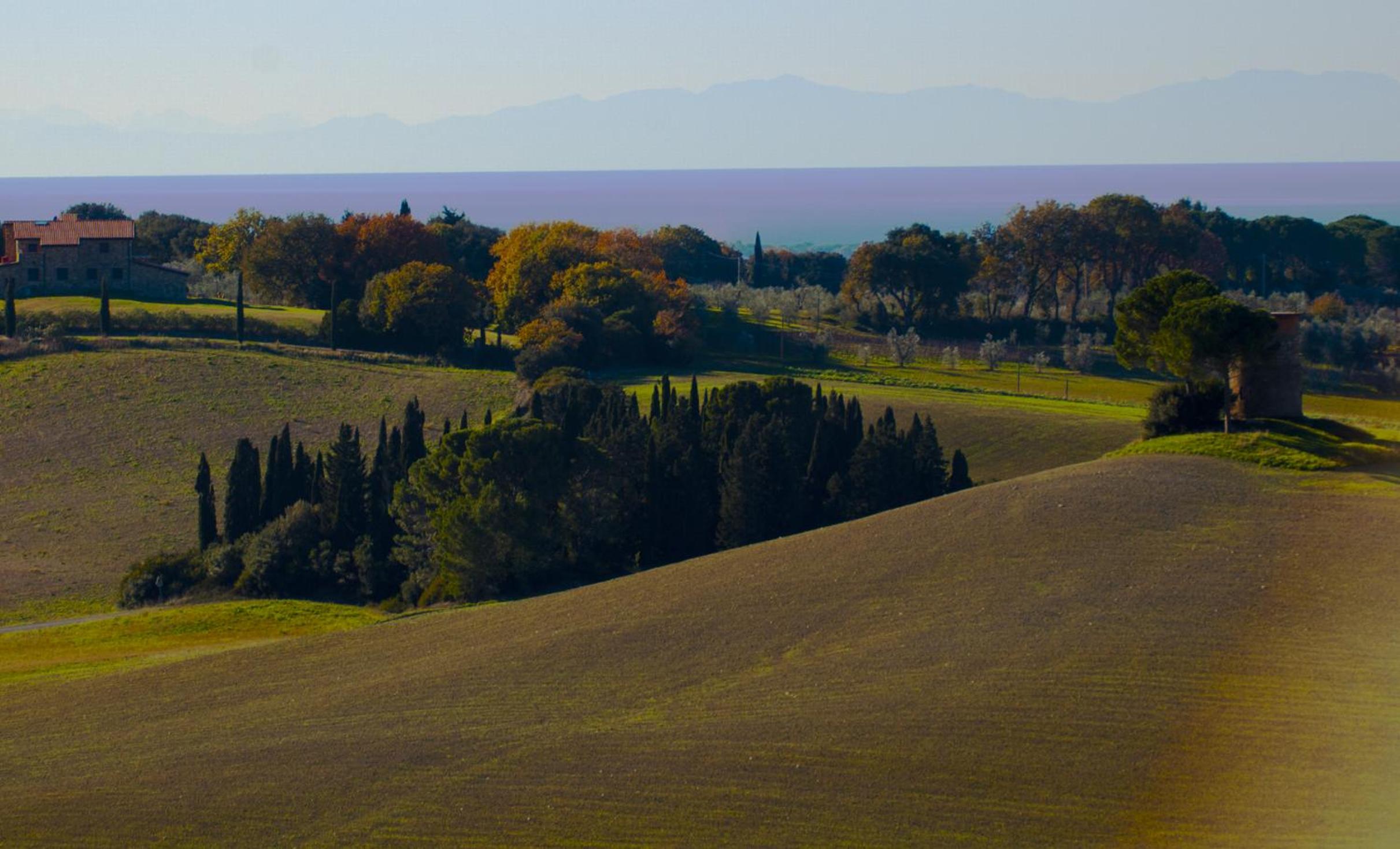 Podere Novo