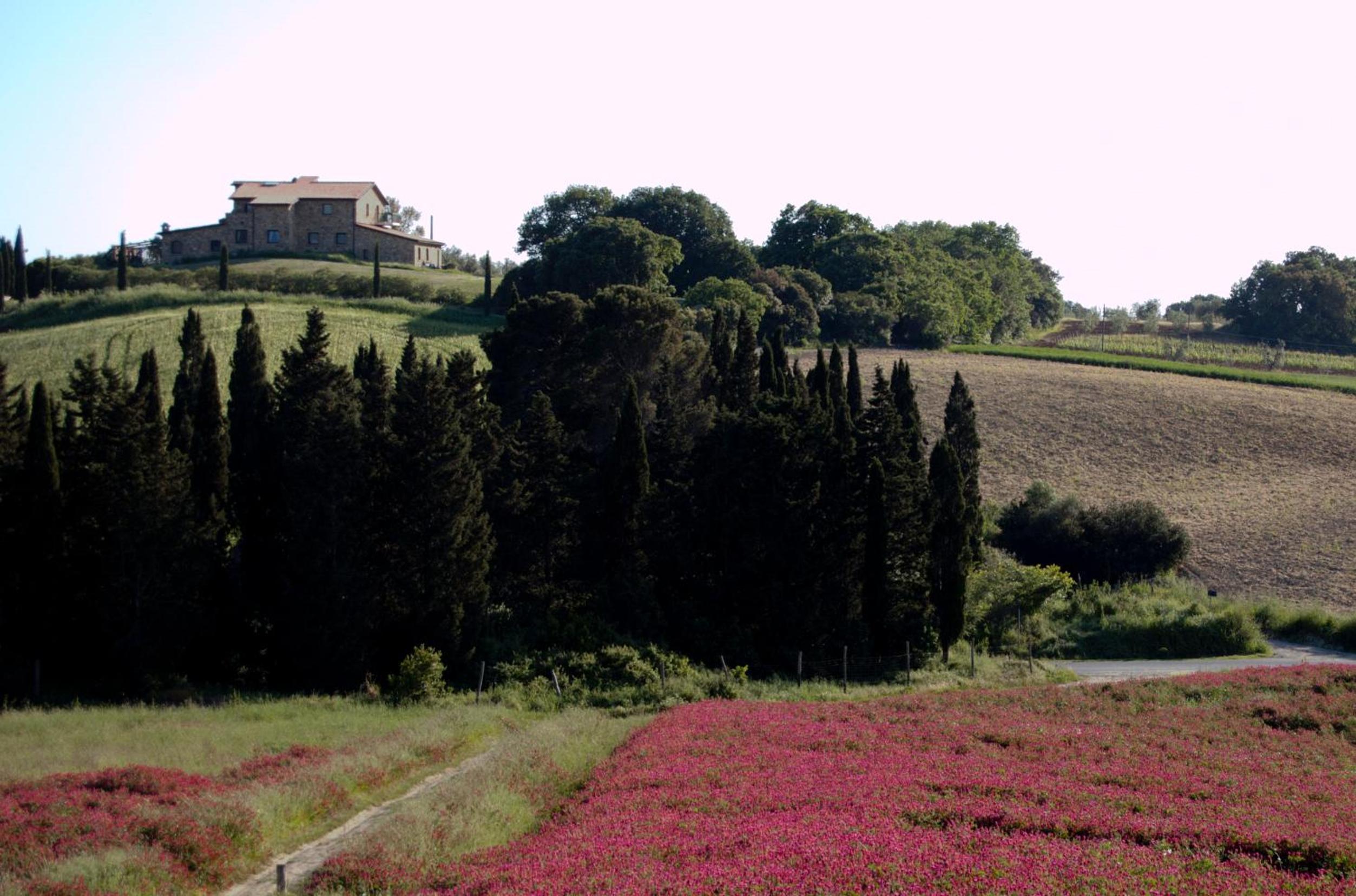 Podere Novo