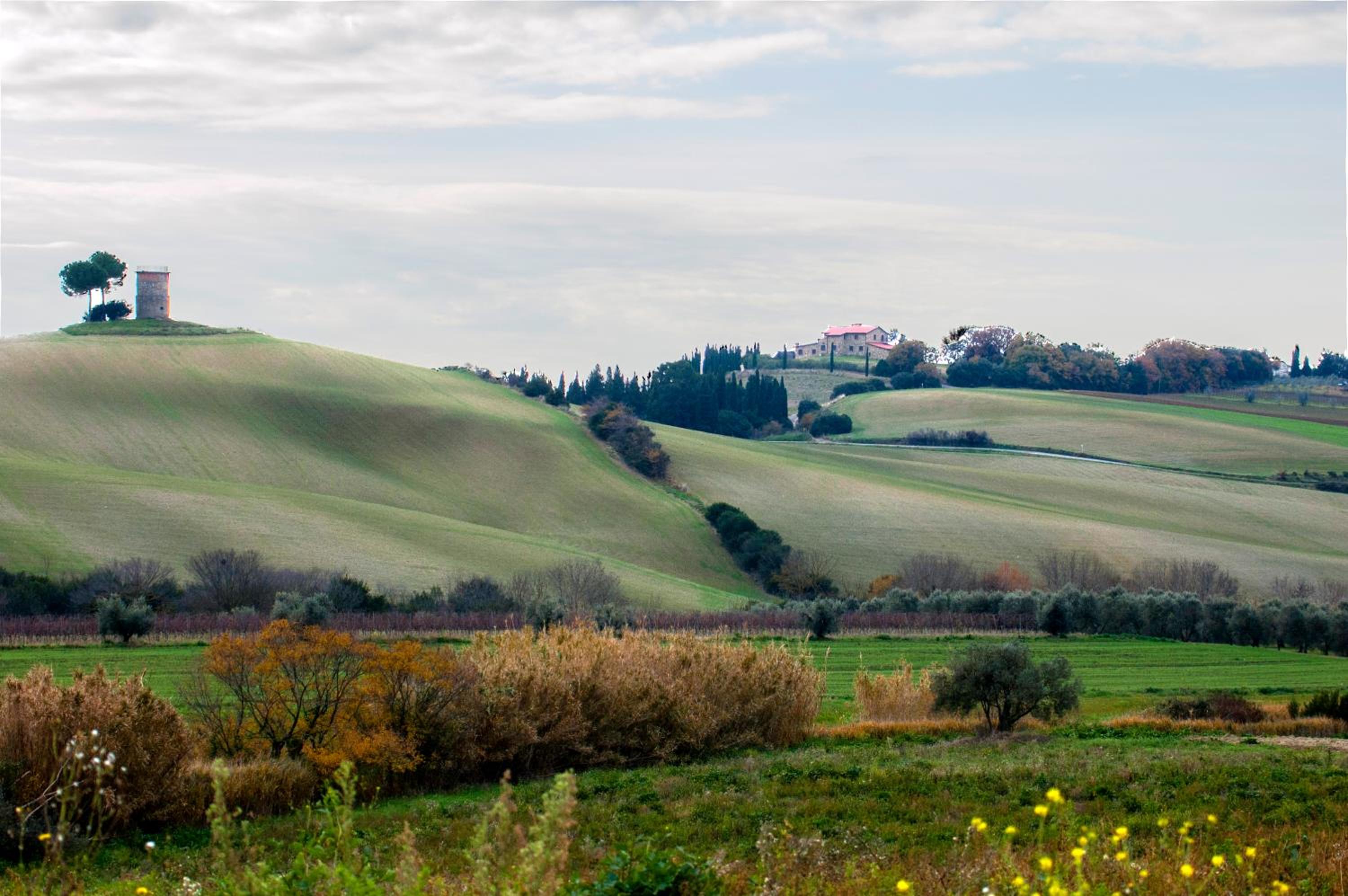 Podere Novo