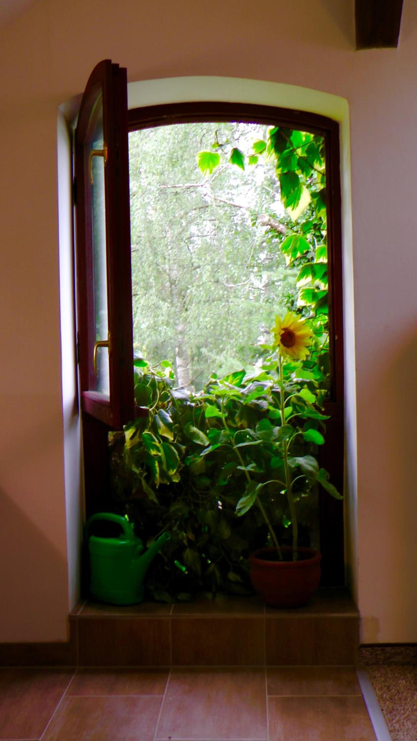Blumenhaus