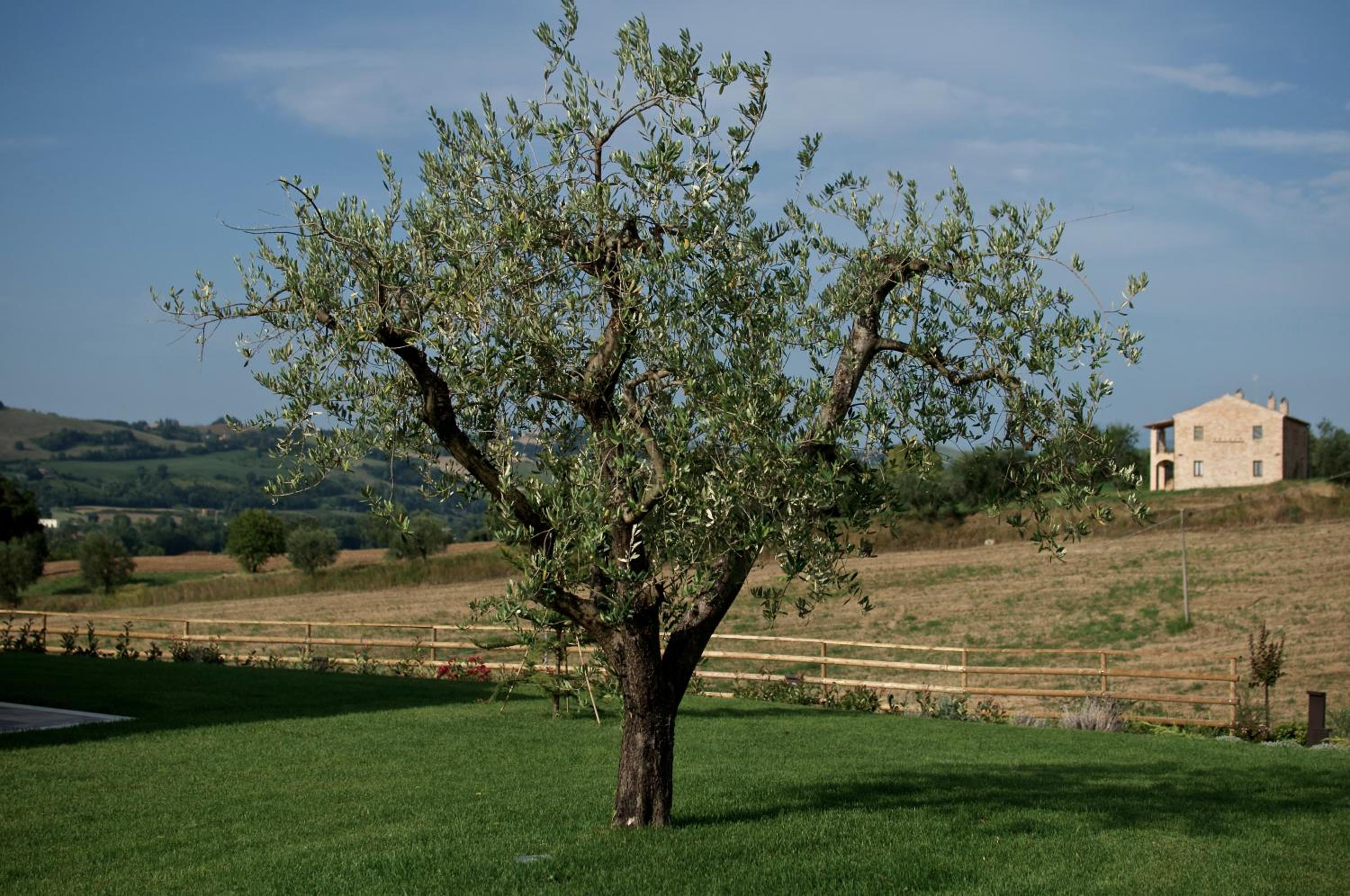 Moresco Agriturismo