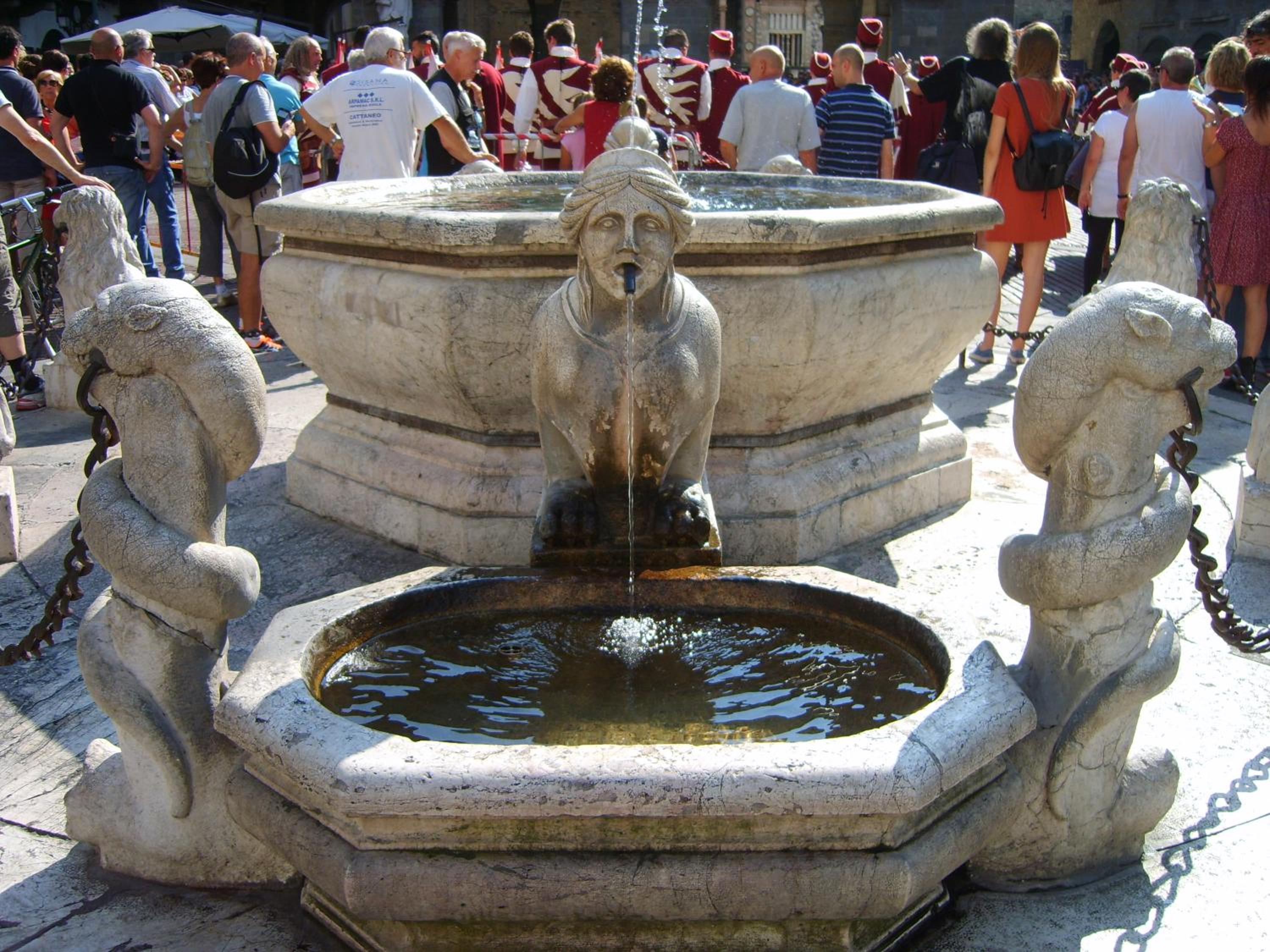 Photo 44