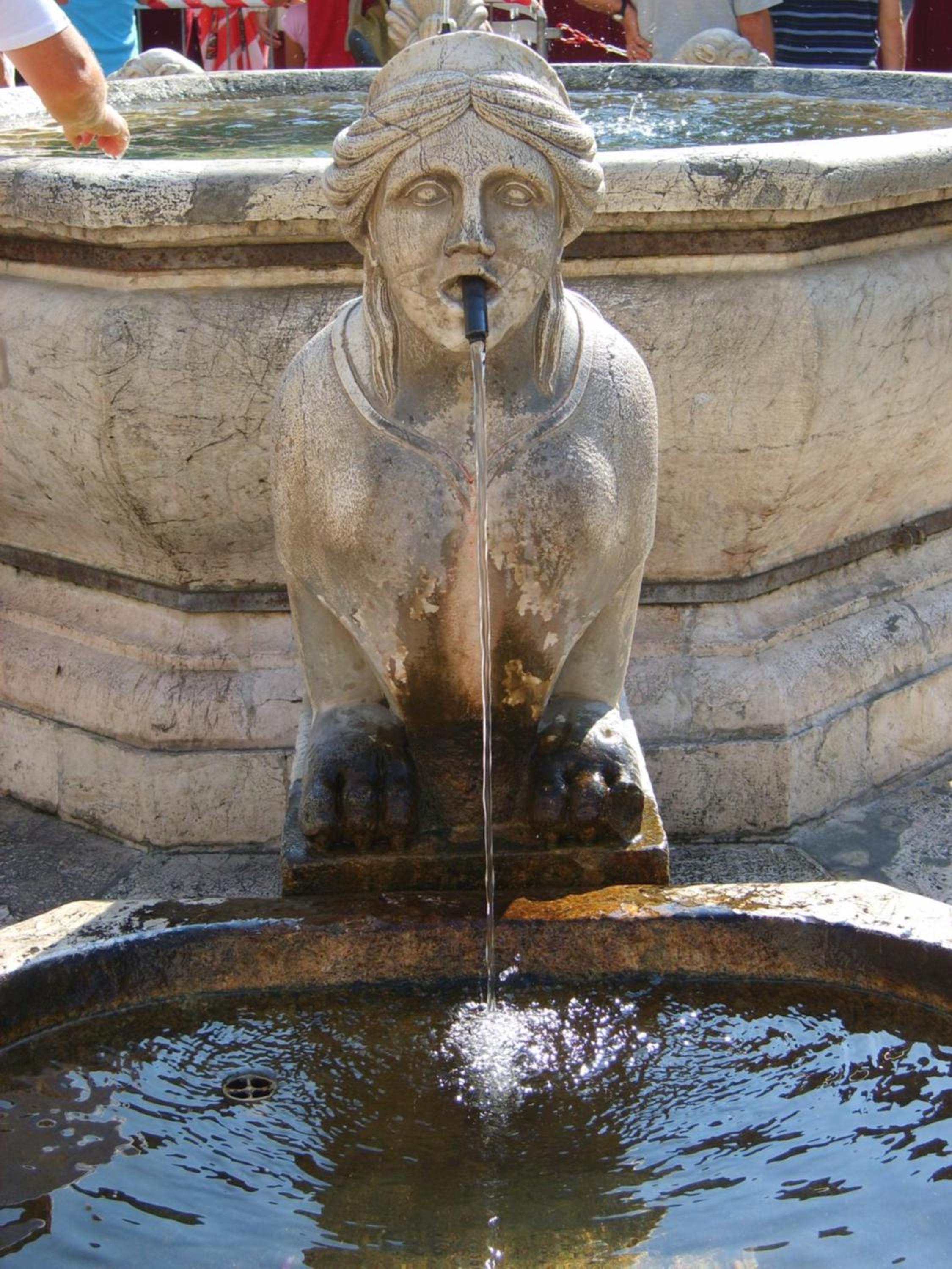 Photo 45
