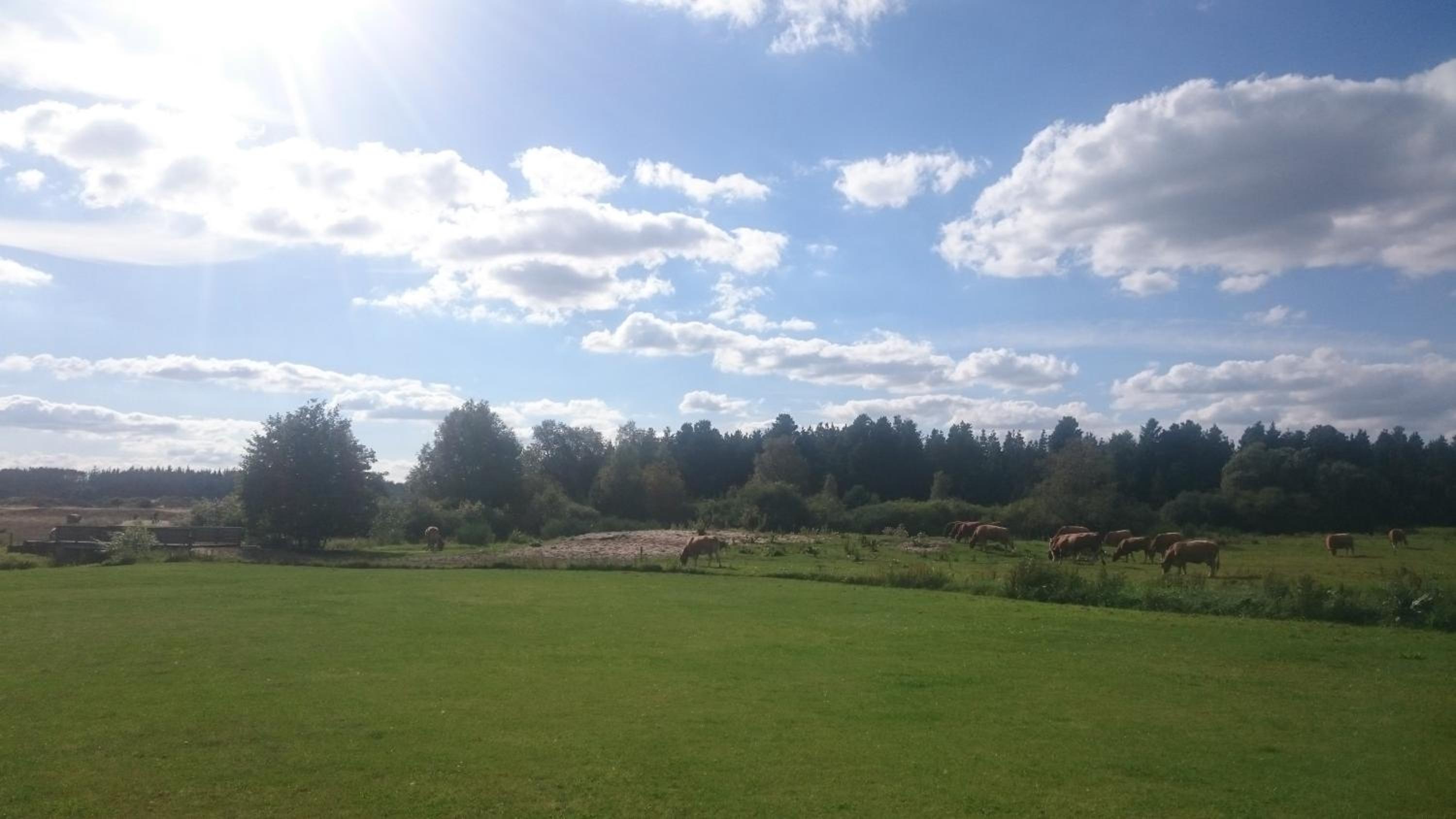 Aagaarden