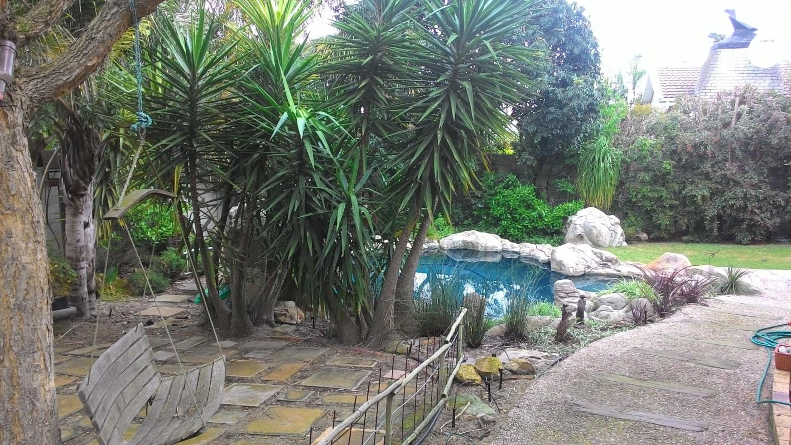 Protea Retreat