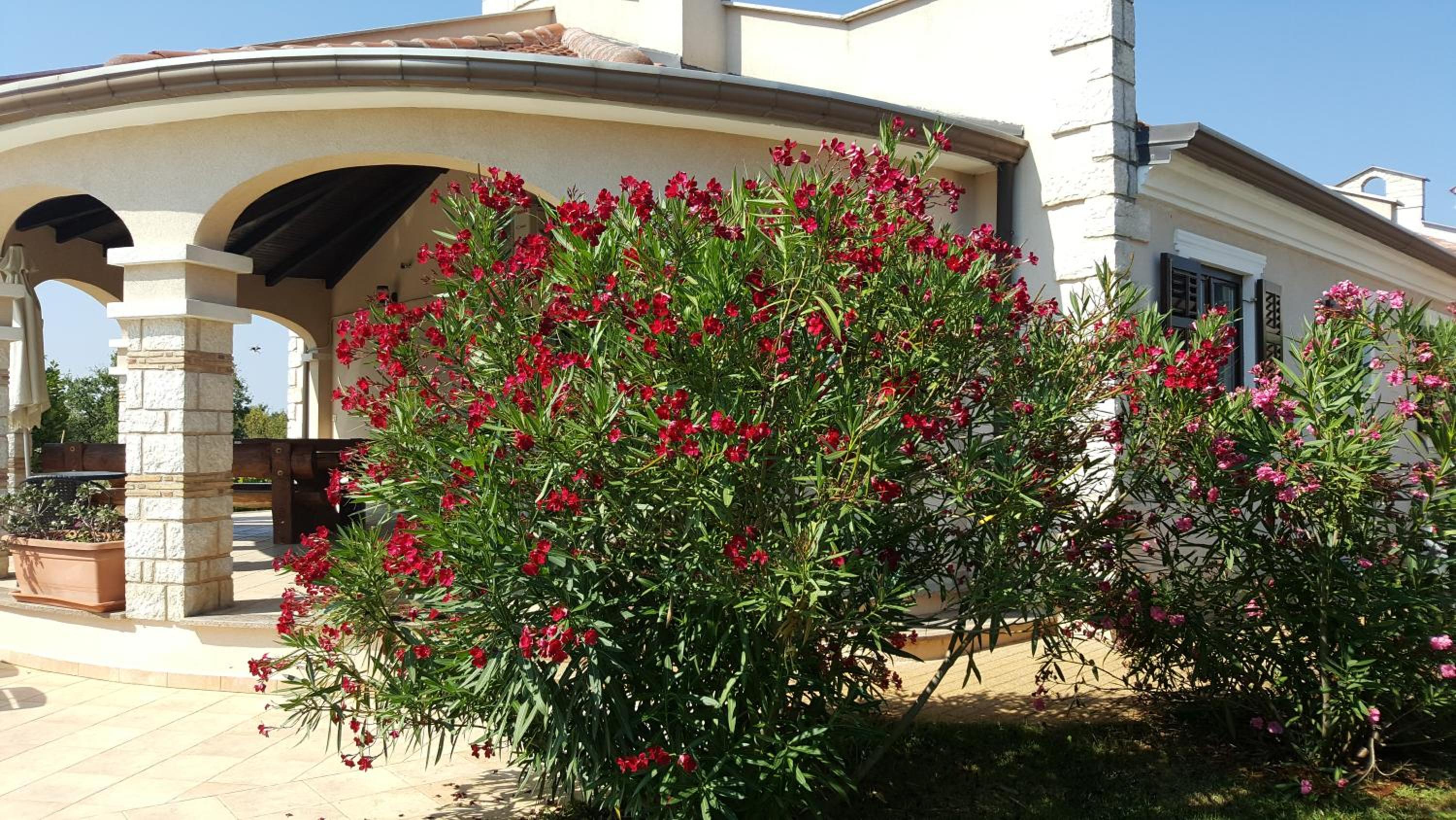 Hotel Villa Parenzo - Image 1