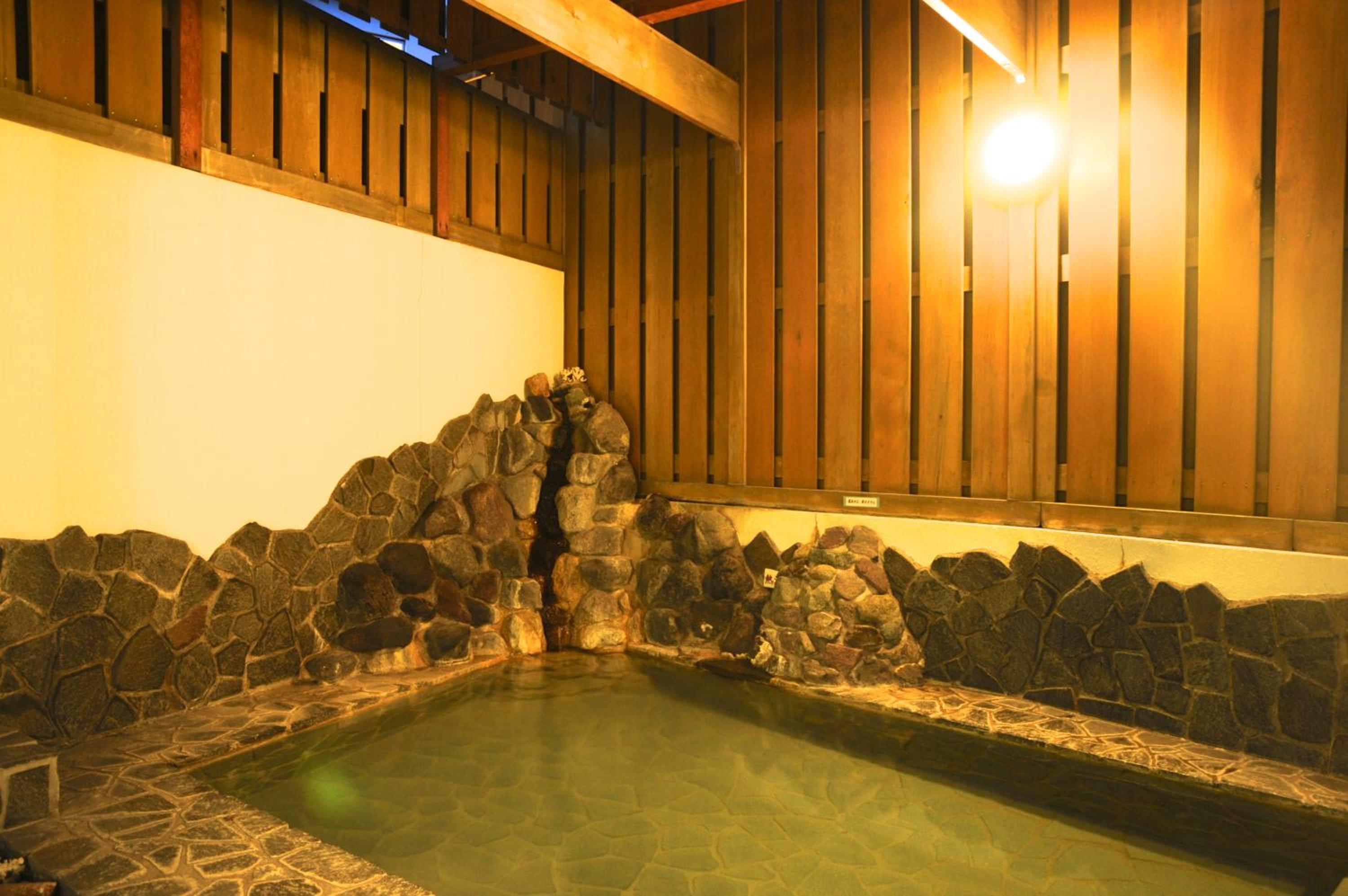 Tateyama Resort Hotel