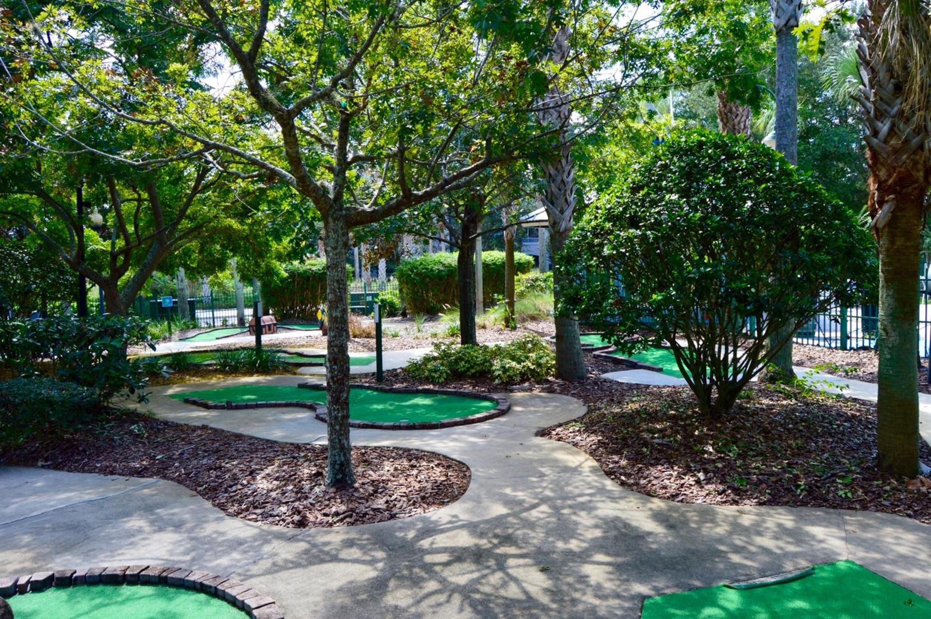 activities & amenities