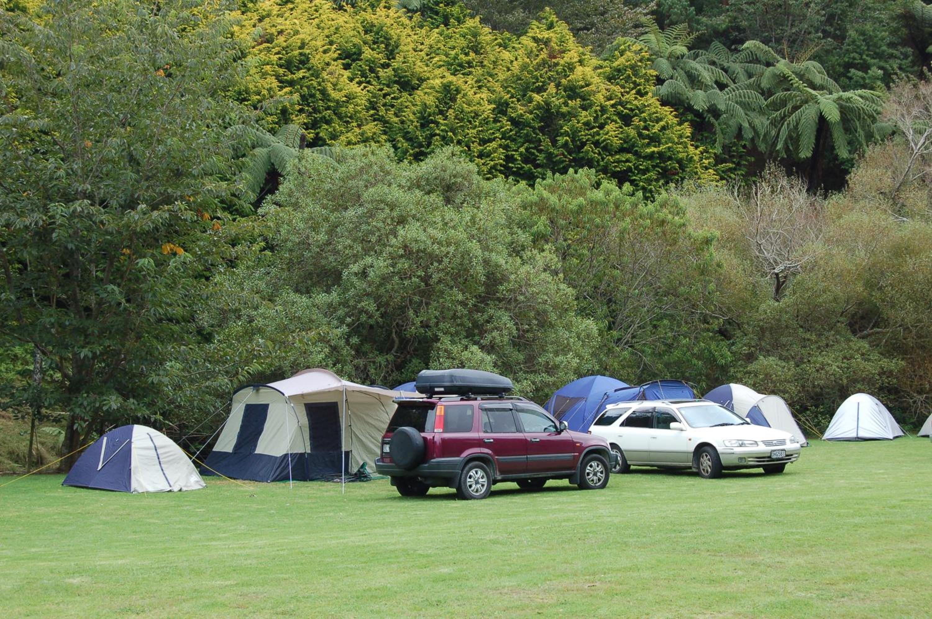 Egmont Eco Leisure Park & Backpackers