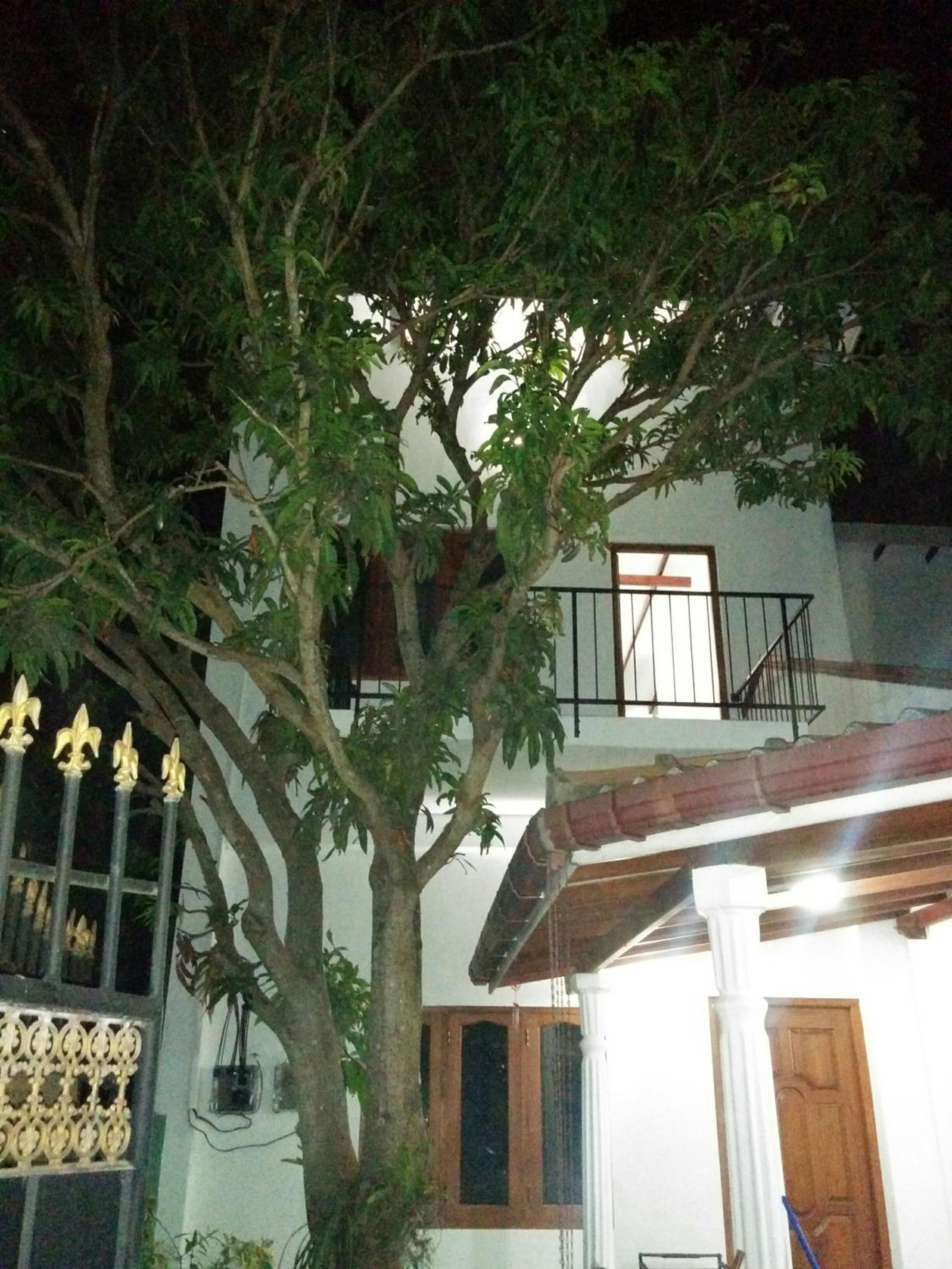 House of Seya