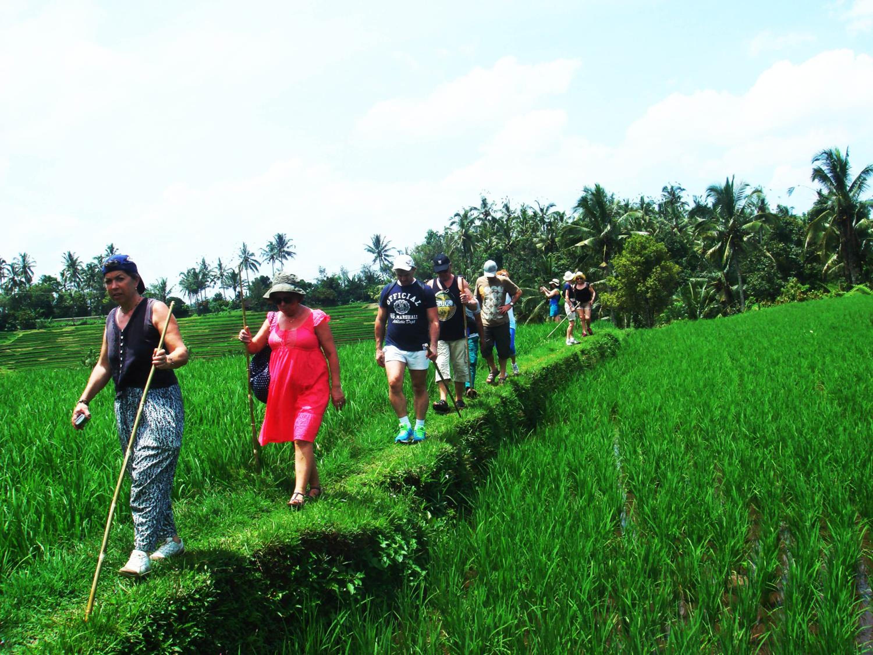 Cempaka Belimbing Villa