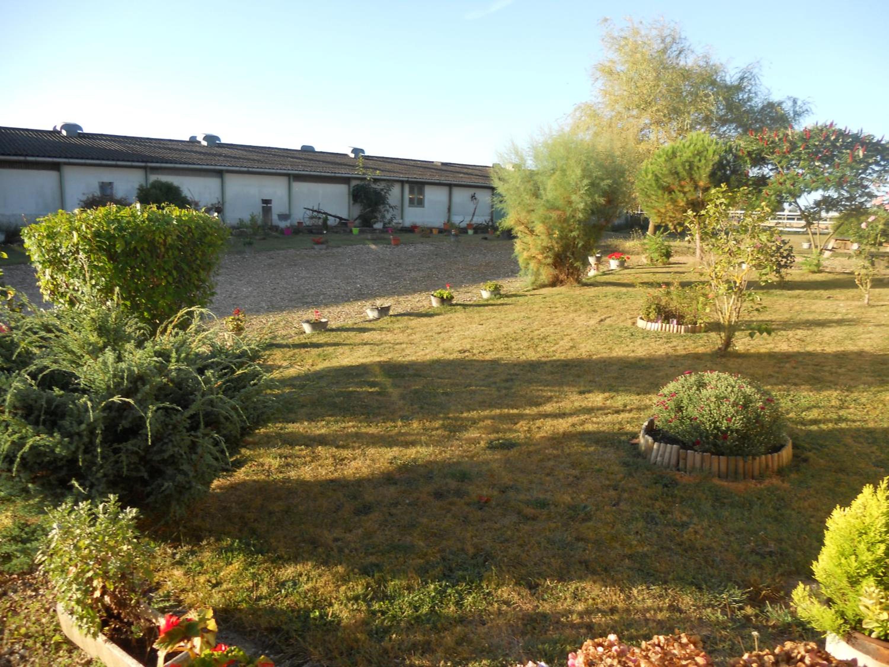 Photo 26