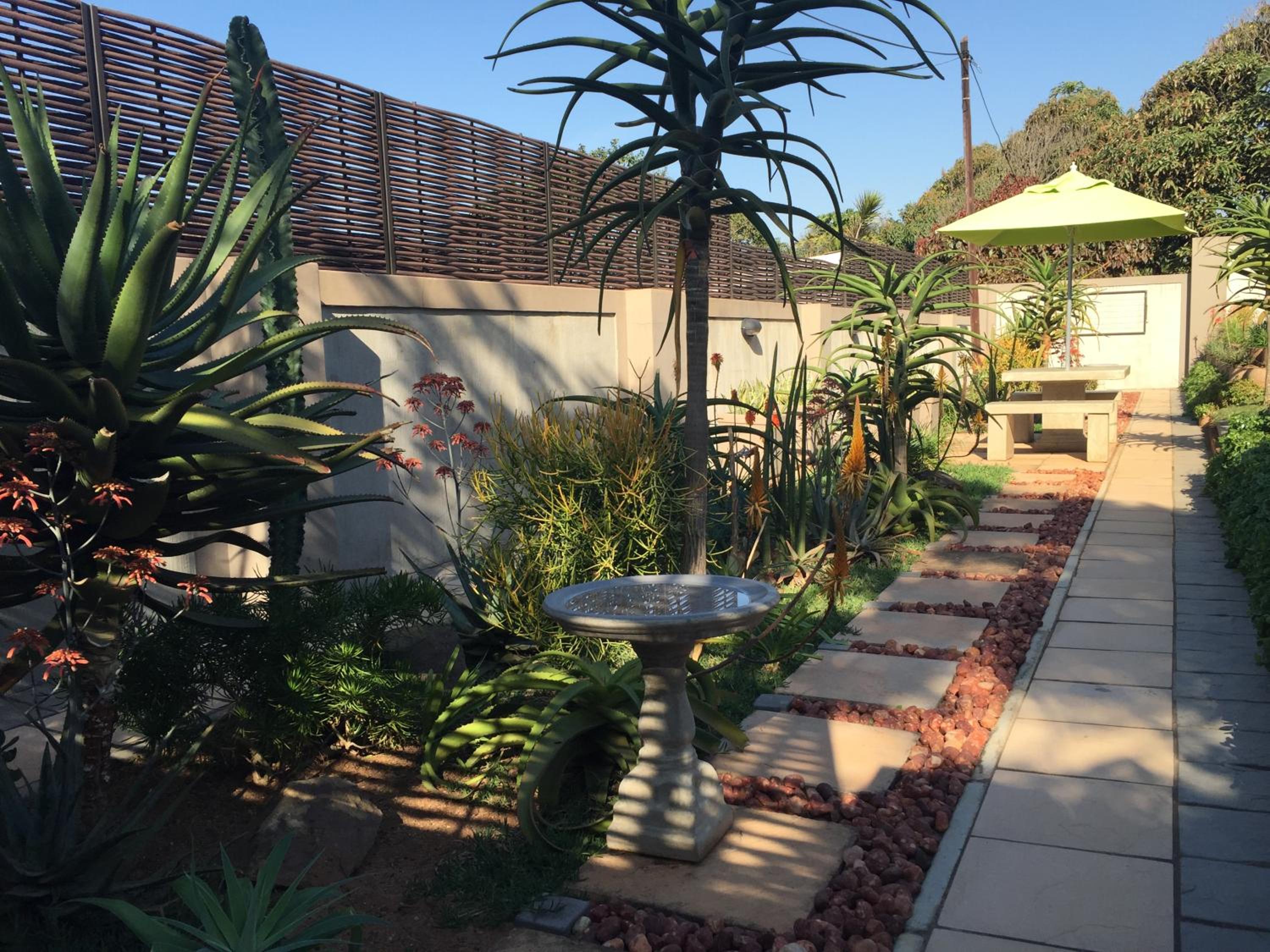 Aloes No.21
