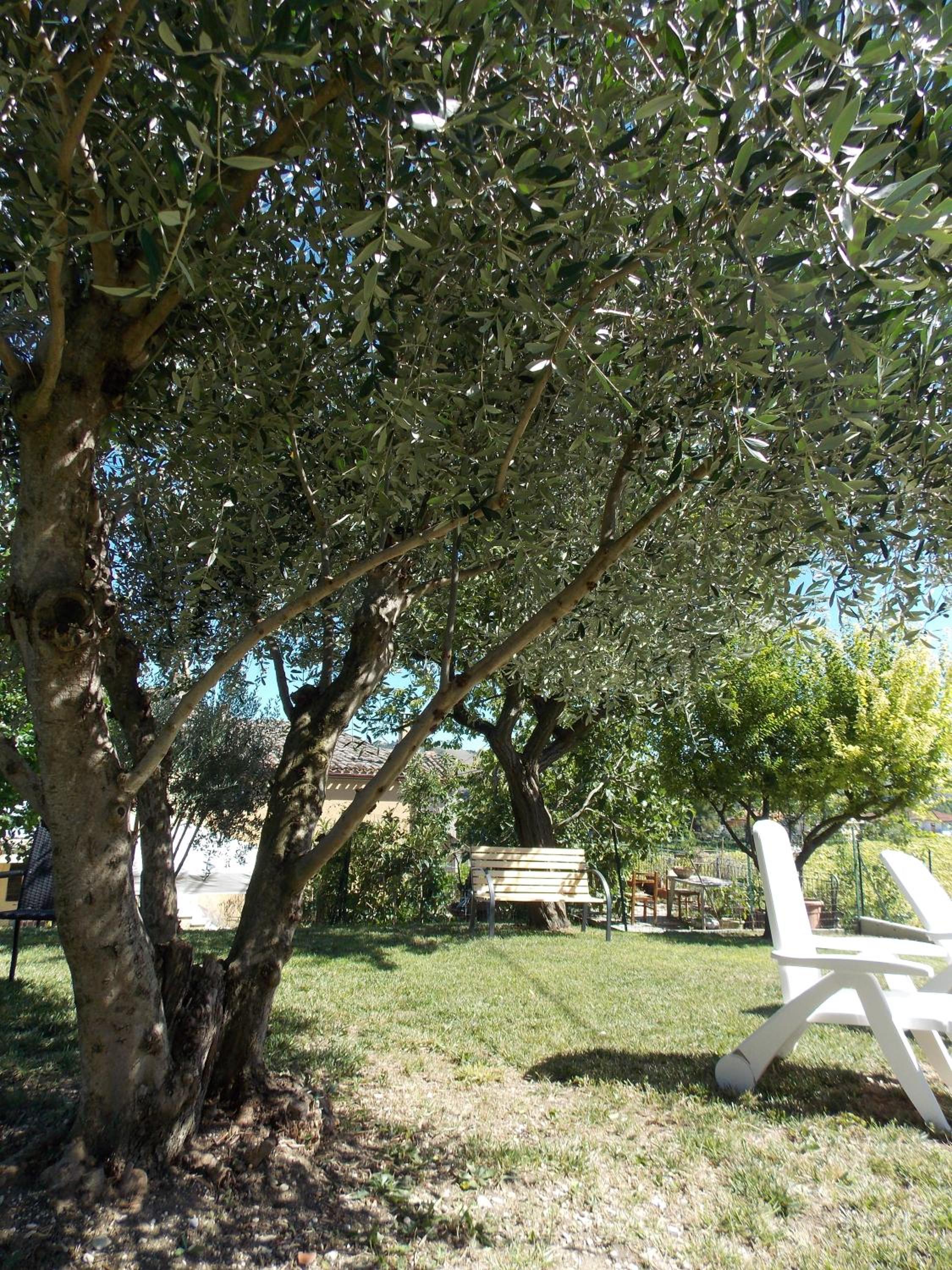 Photo 22