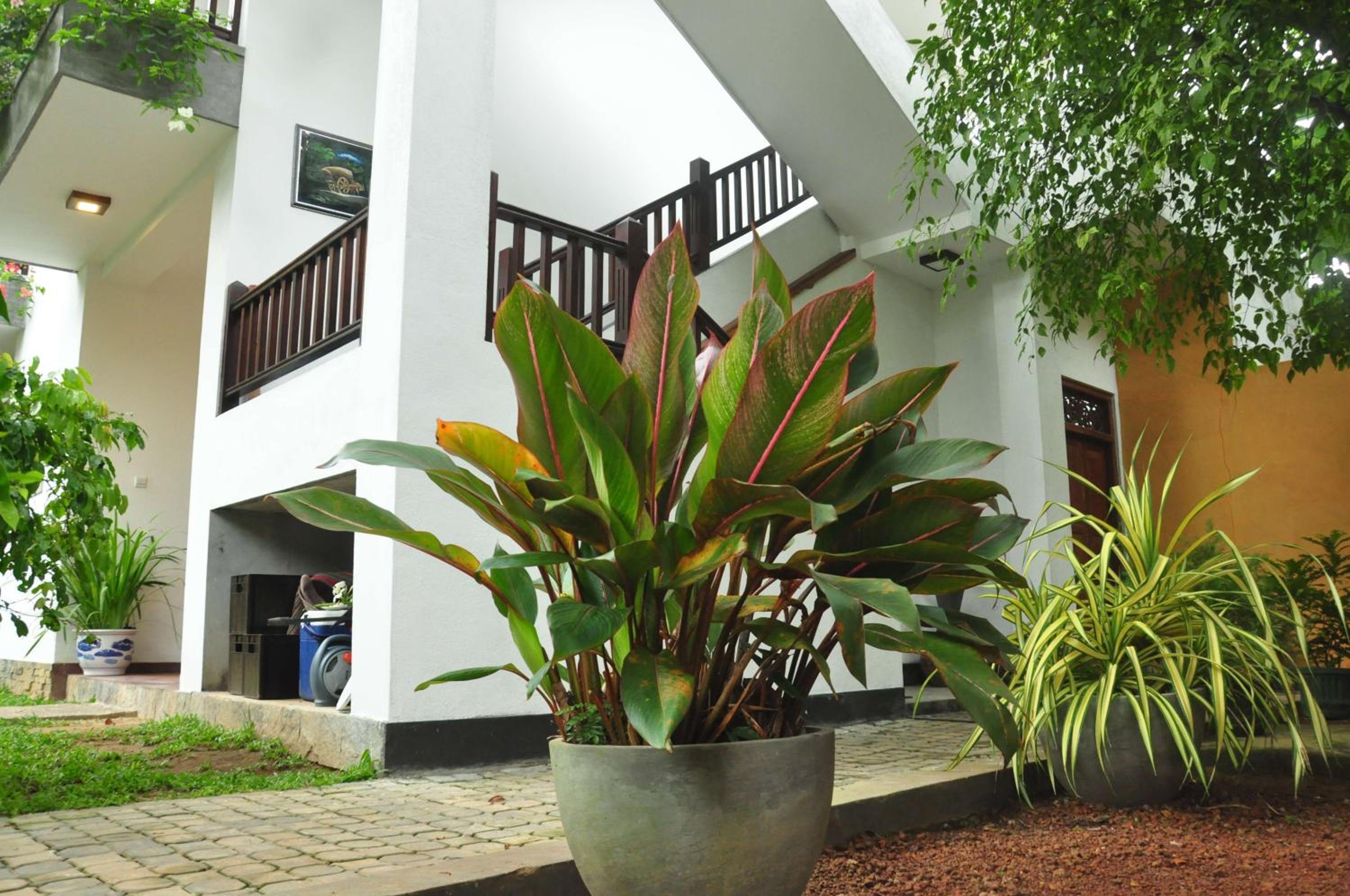 Green Villa Unawatuna — photo 45
