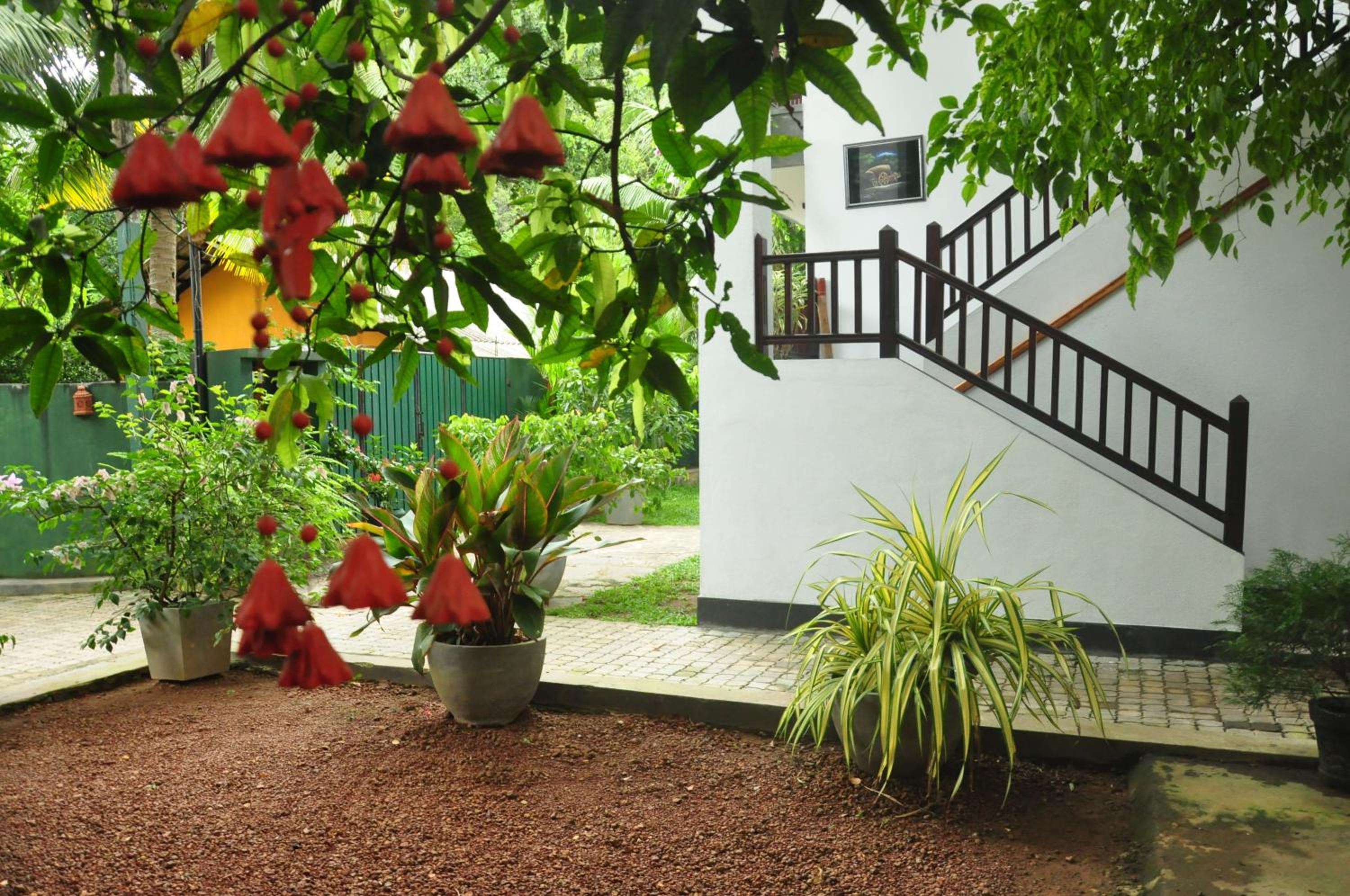 Green Villa Unawatuna — photo 92