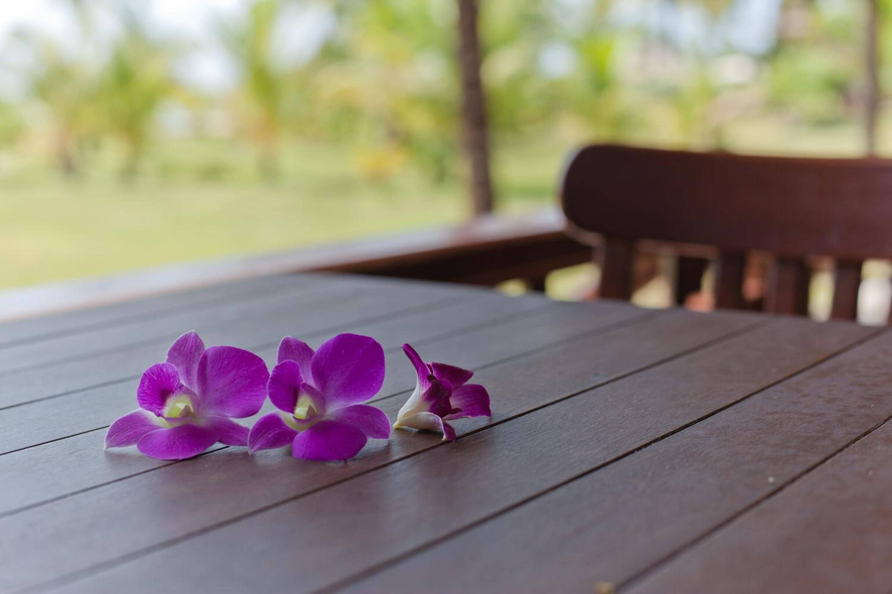 C&N Kho Khao Beach Resort - SHA Plus