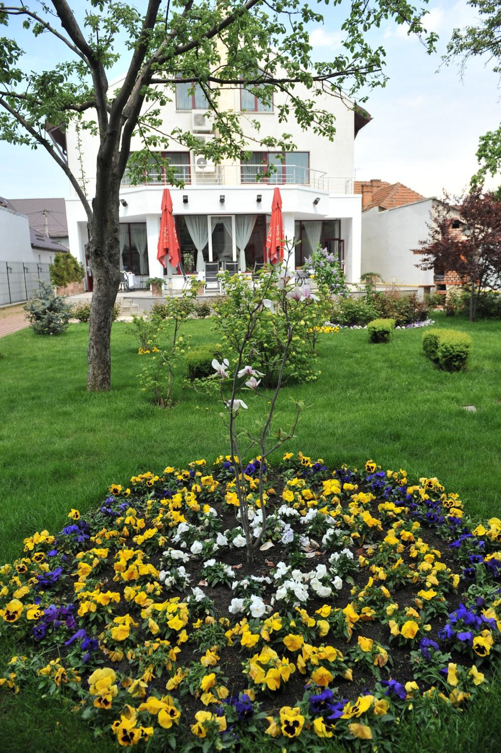 Photo 44
