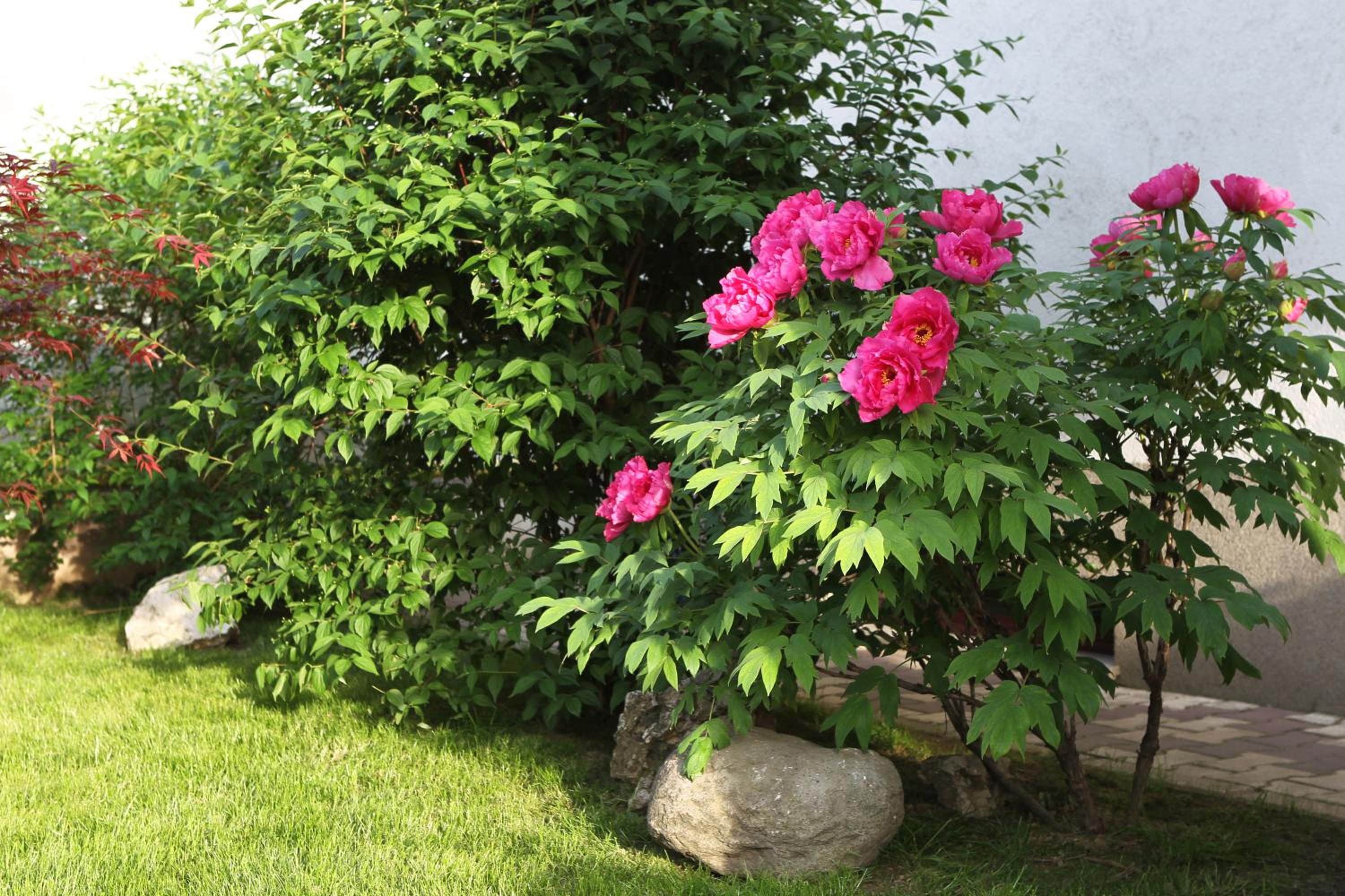 Photo 47