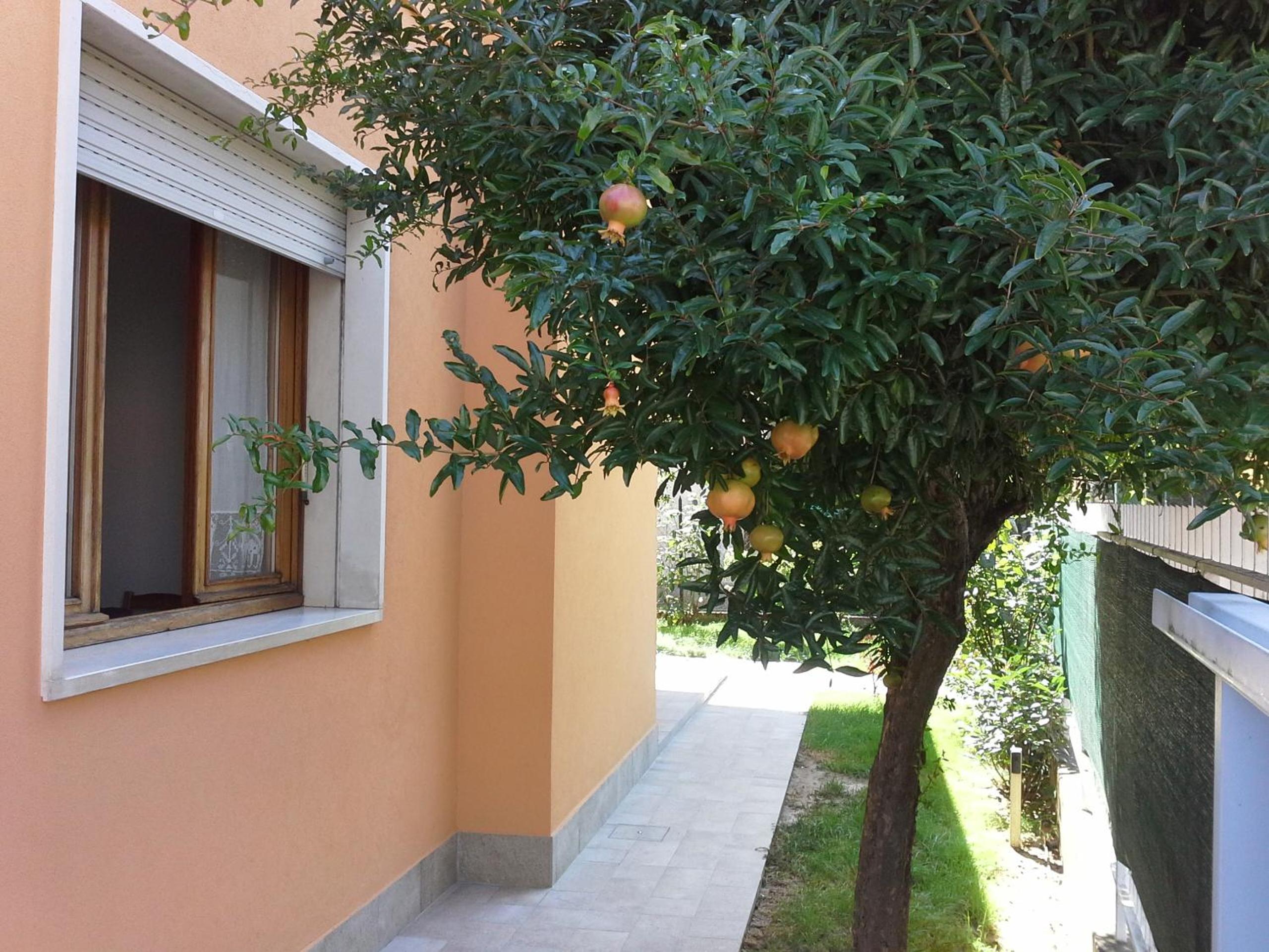 Photo 39