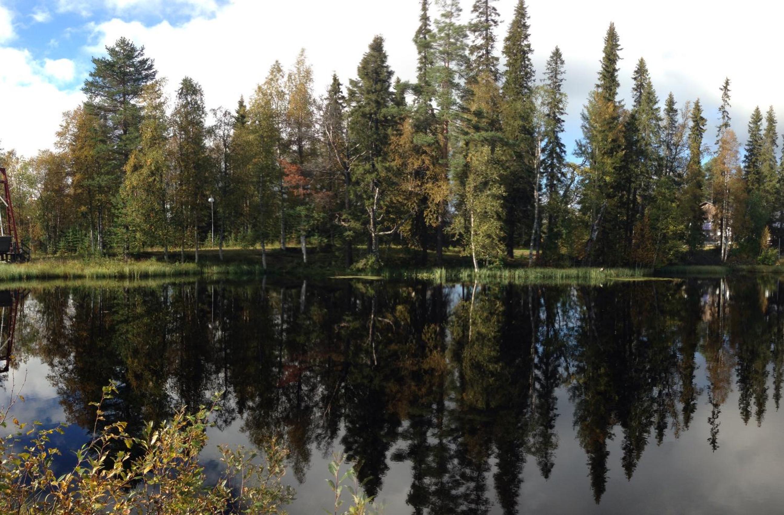 Photo 44