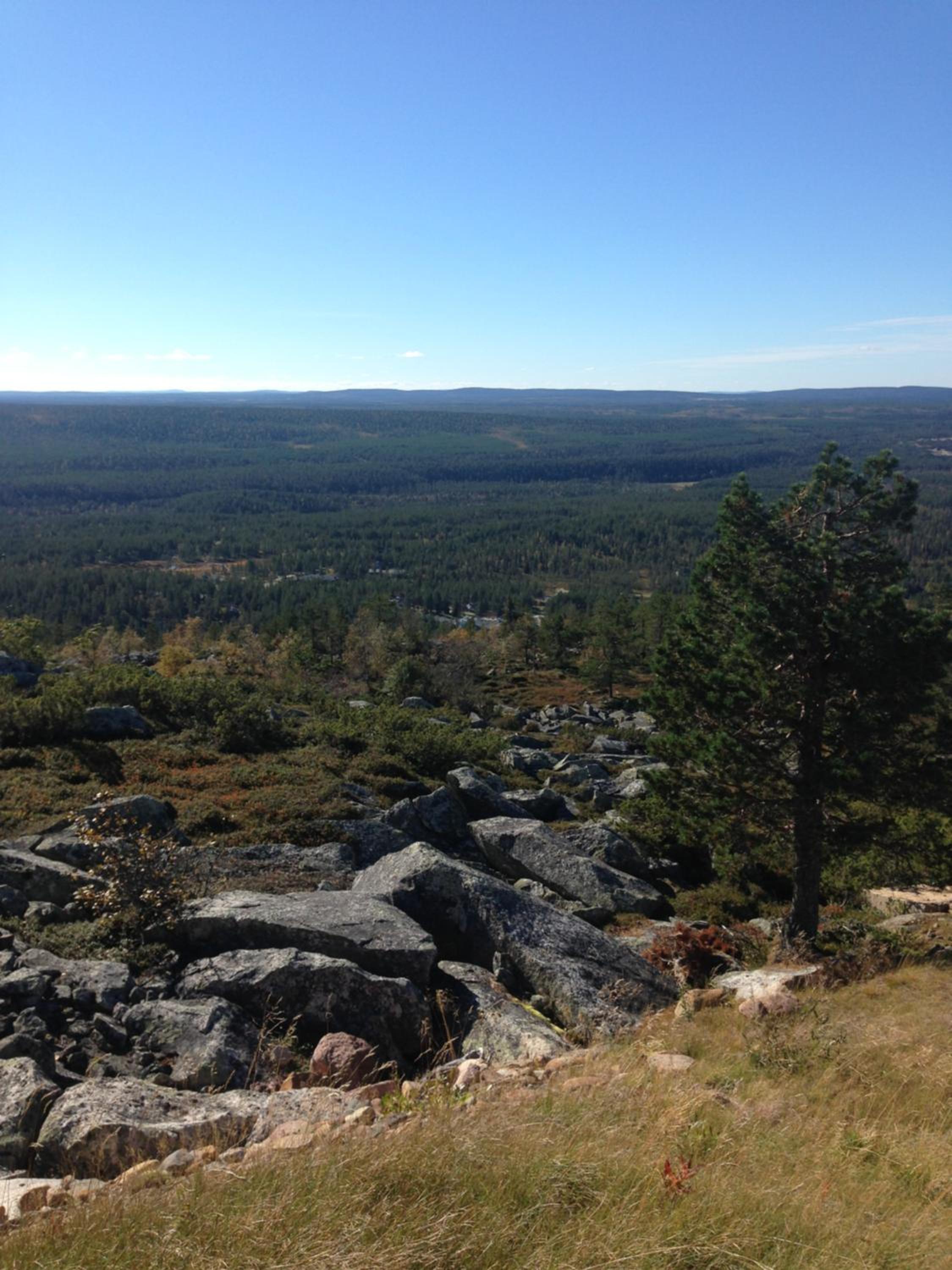 Photo 48