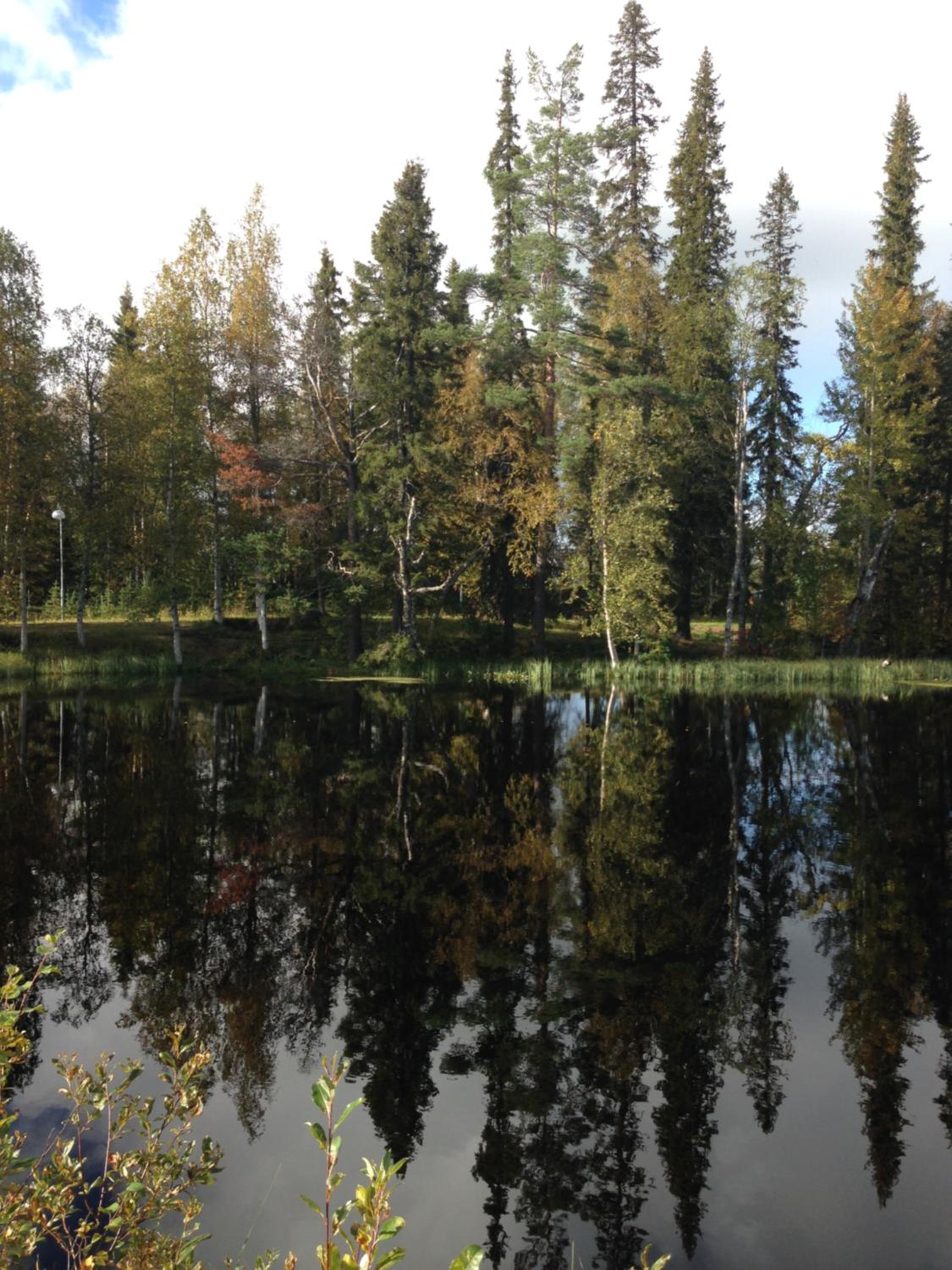 Photo 49