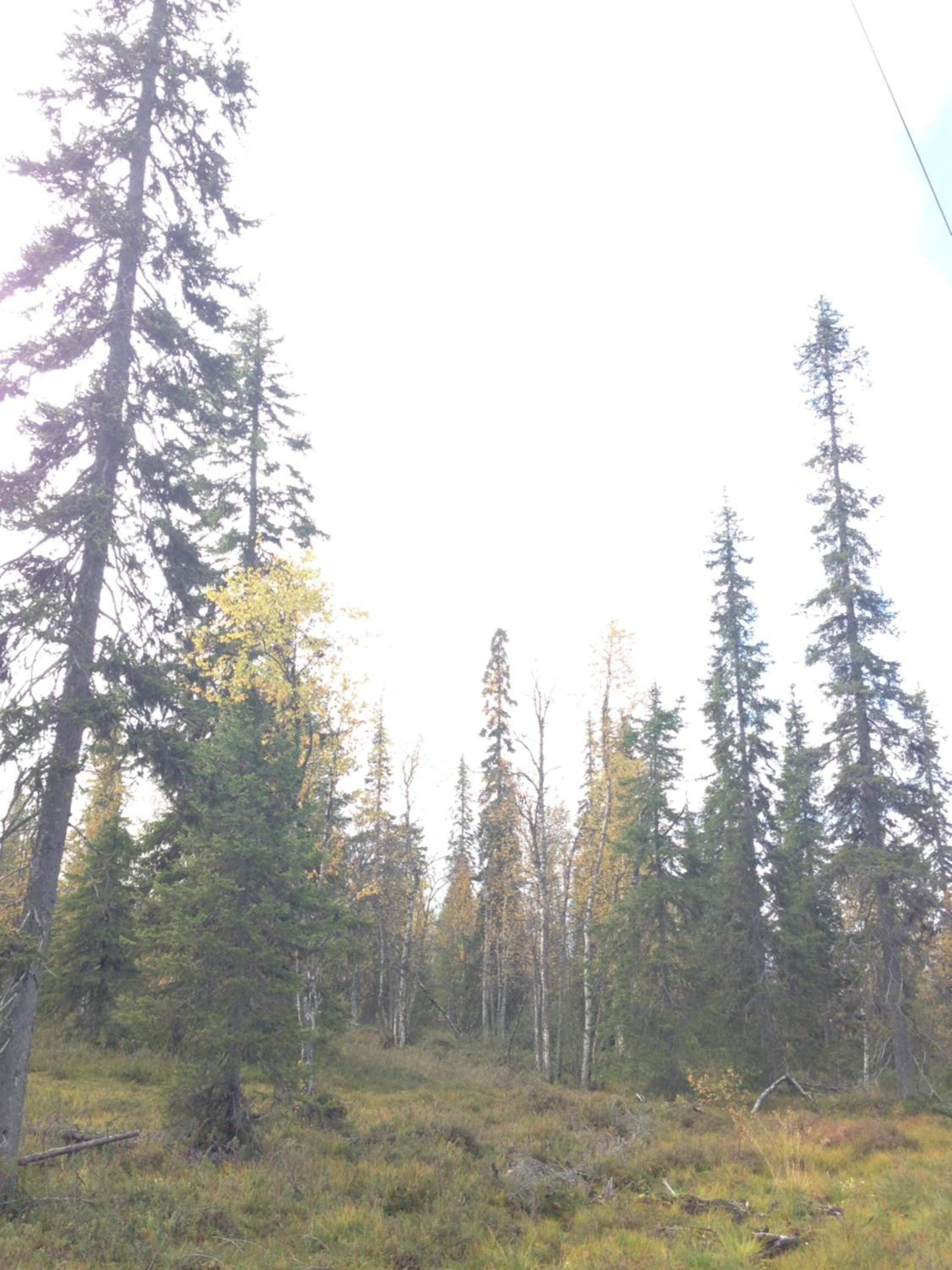 Photo 51