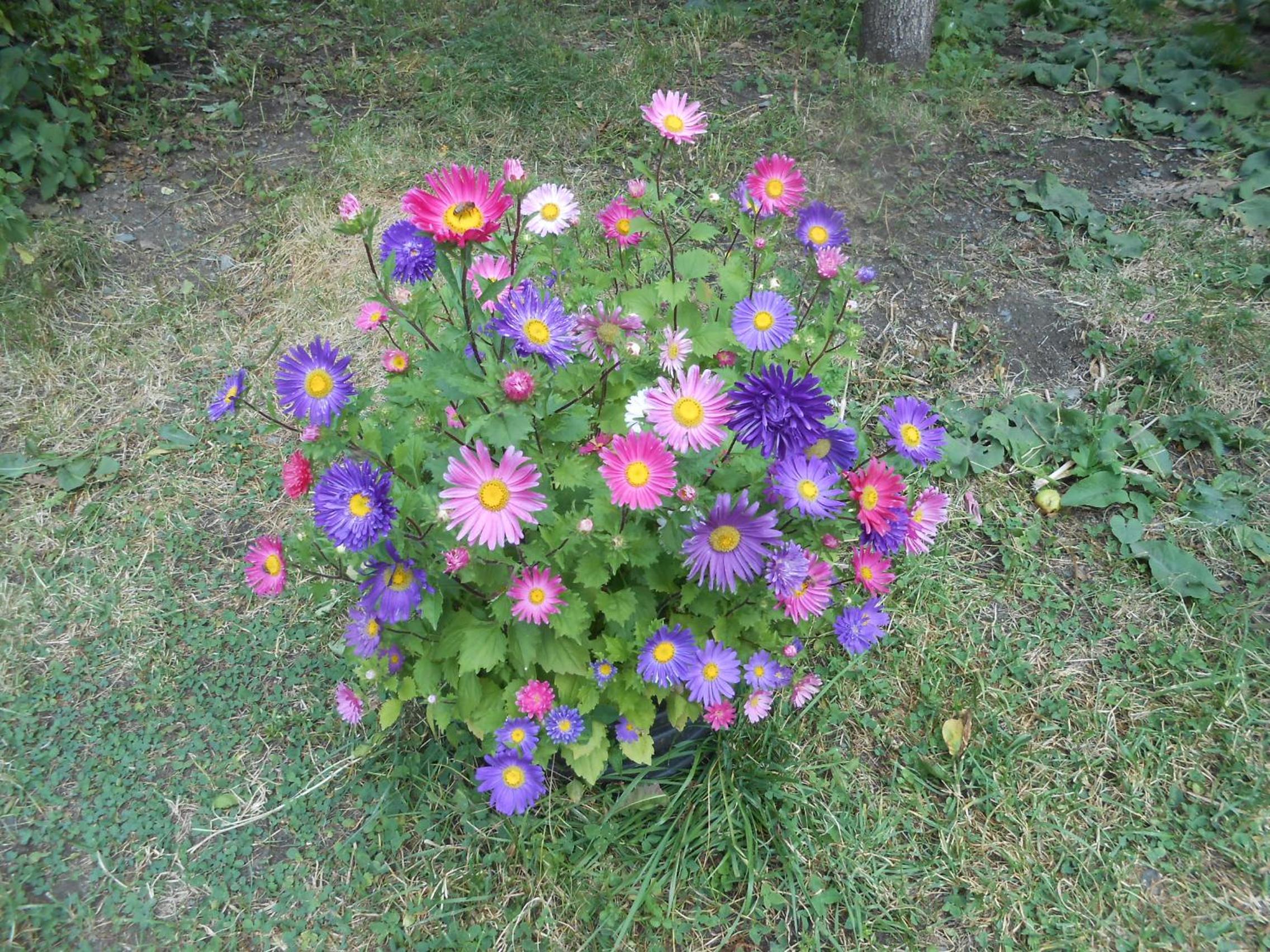 Photo 39