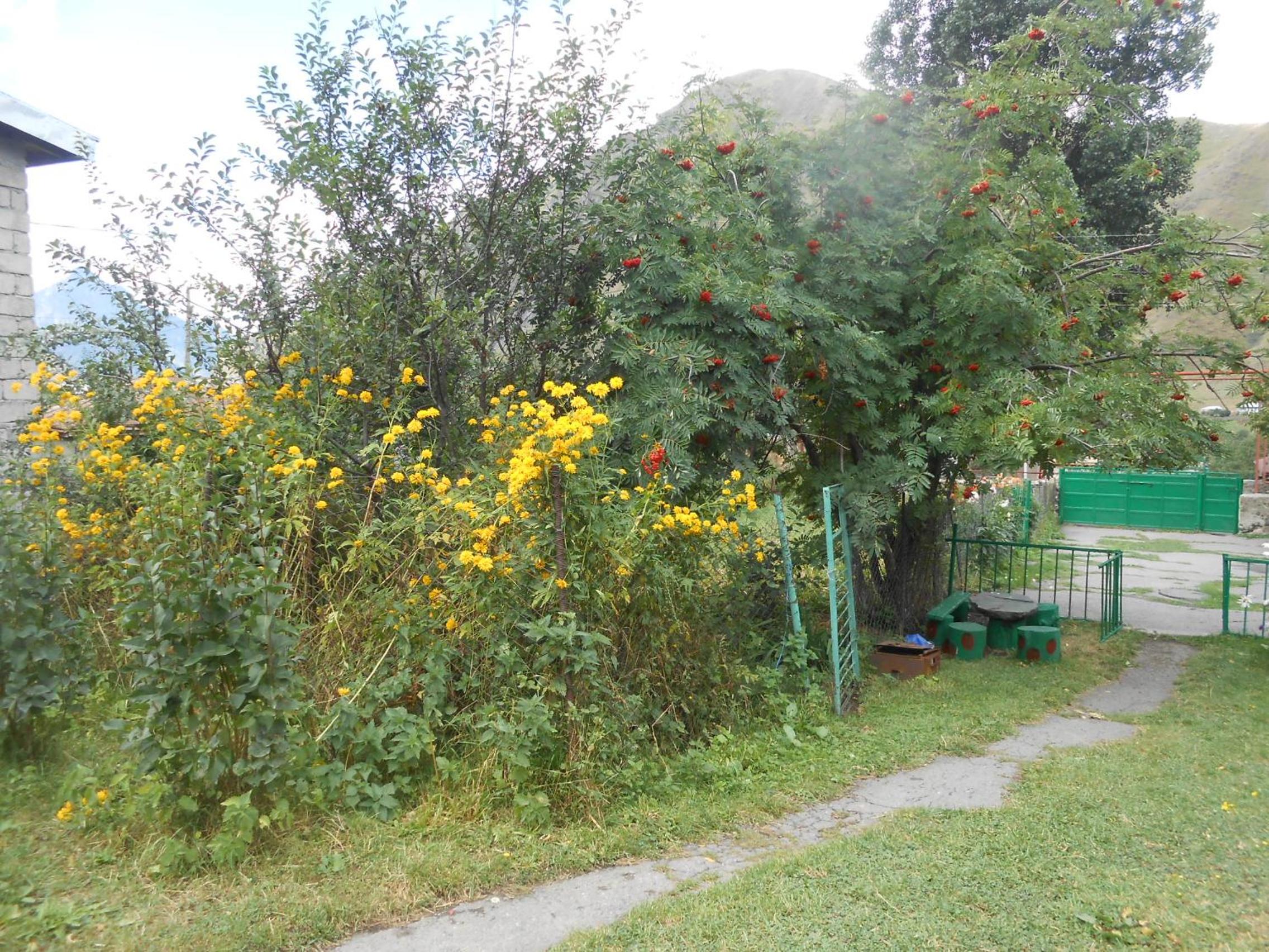 Photo 38