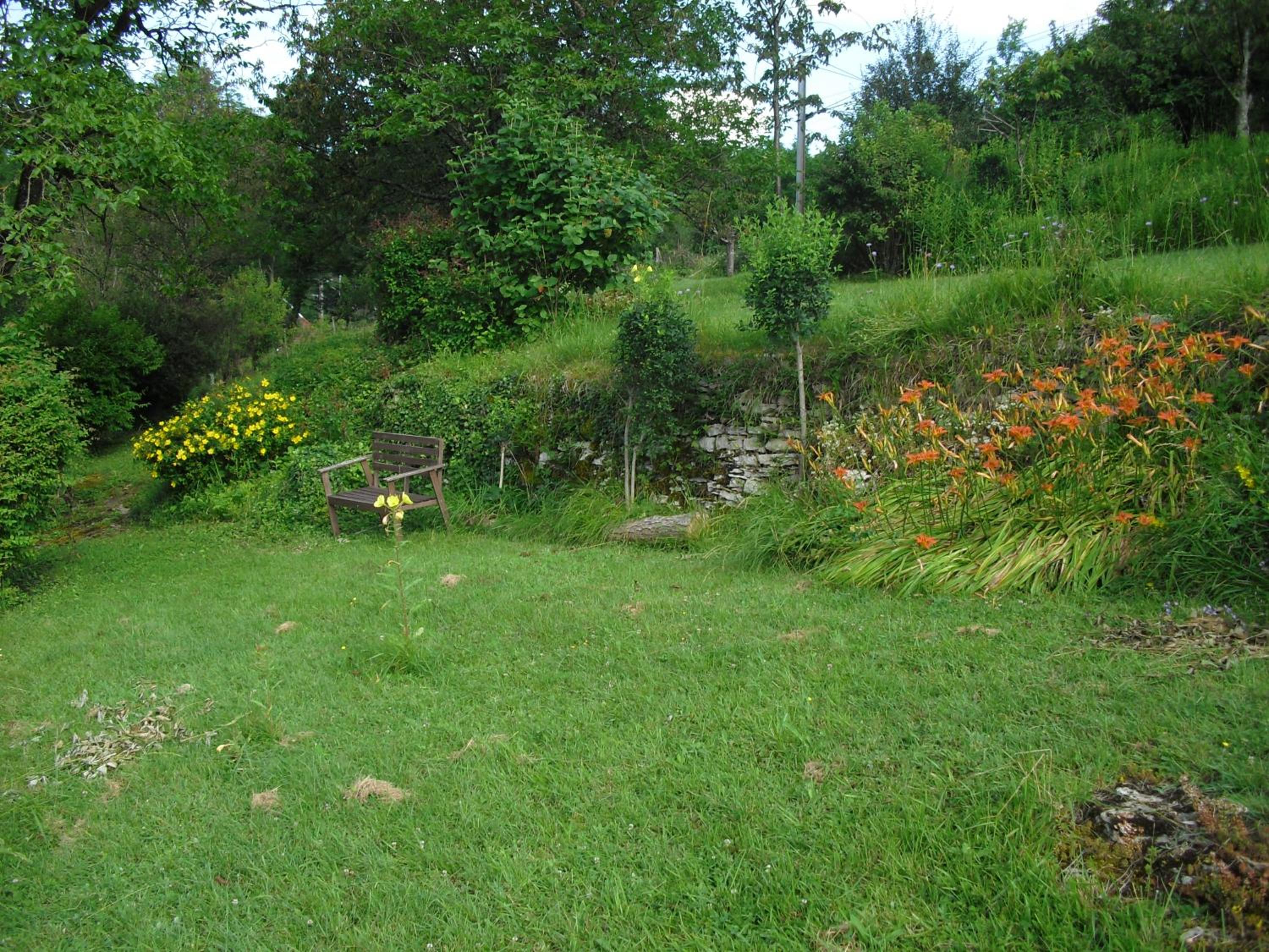 Photo 41