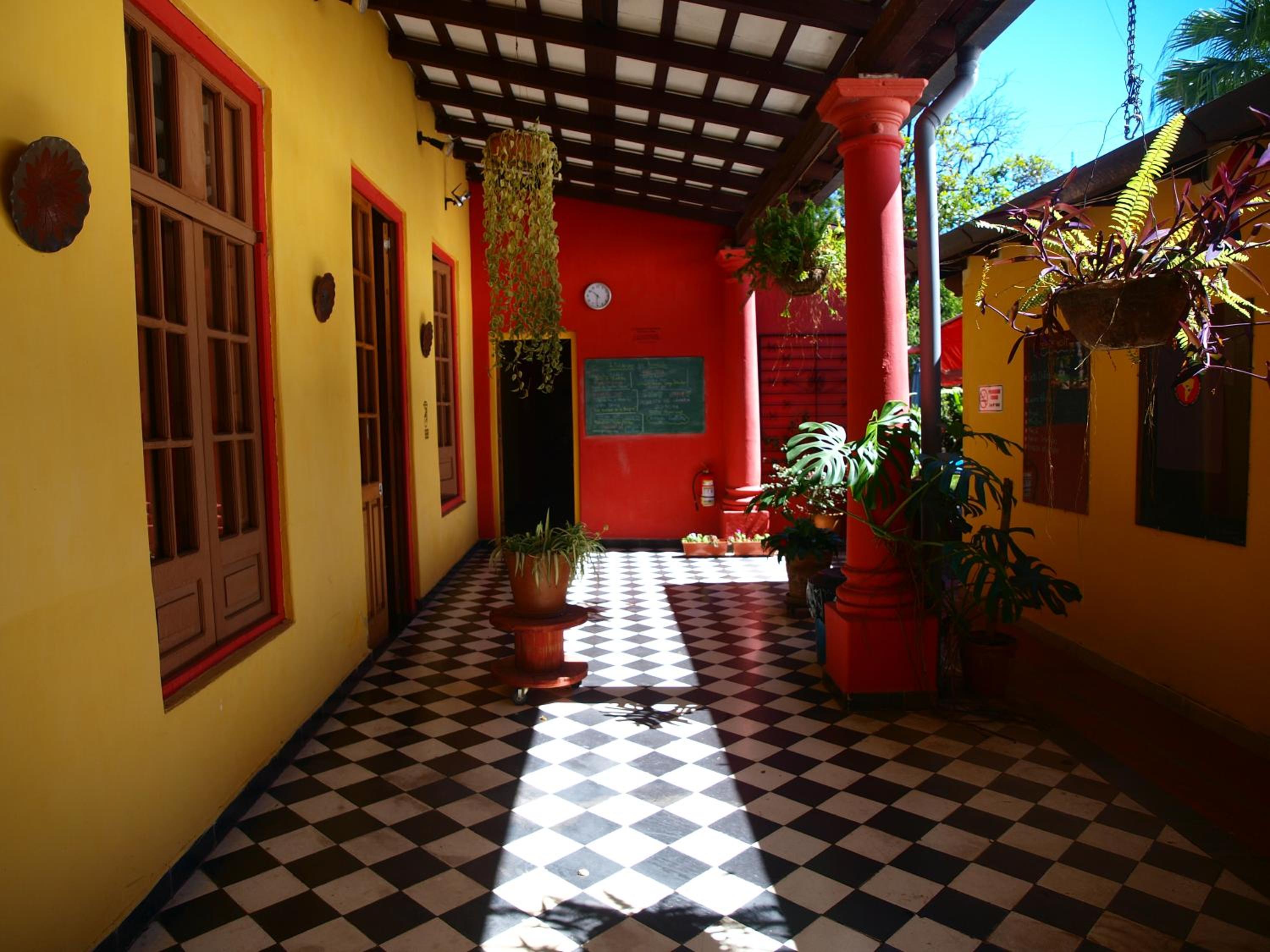 Photo 44