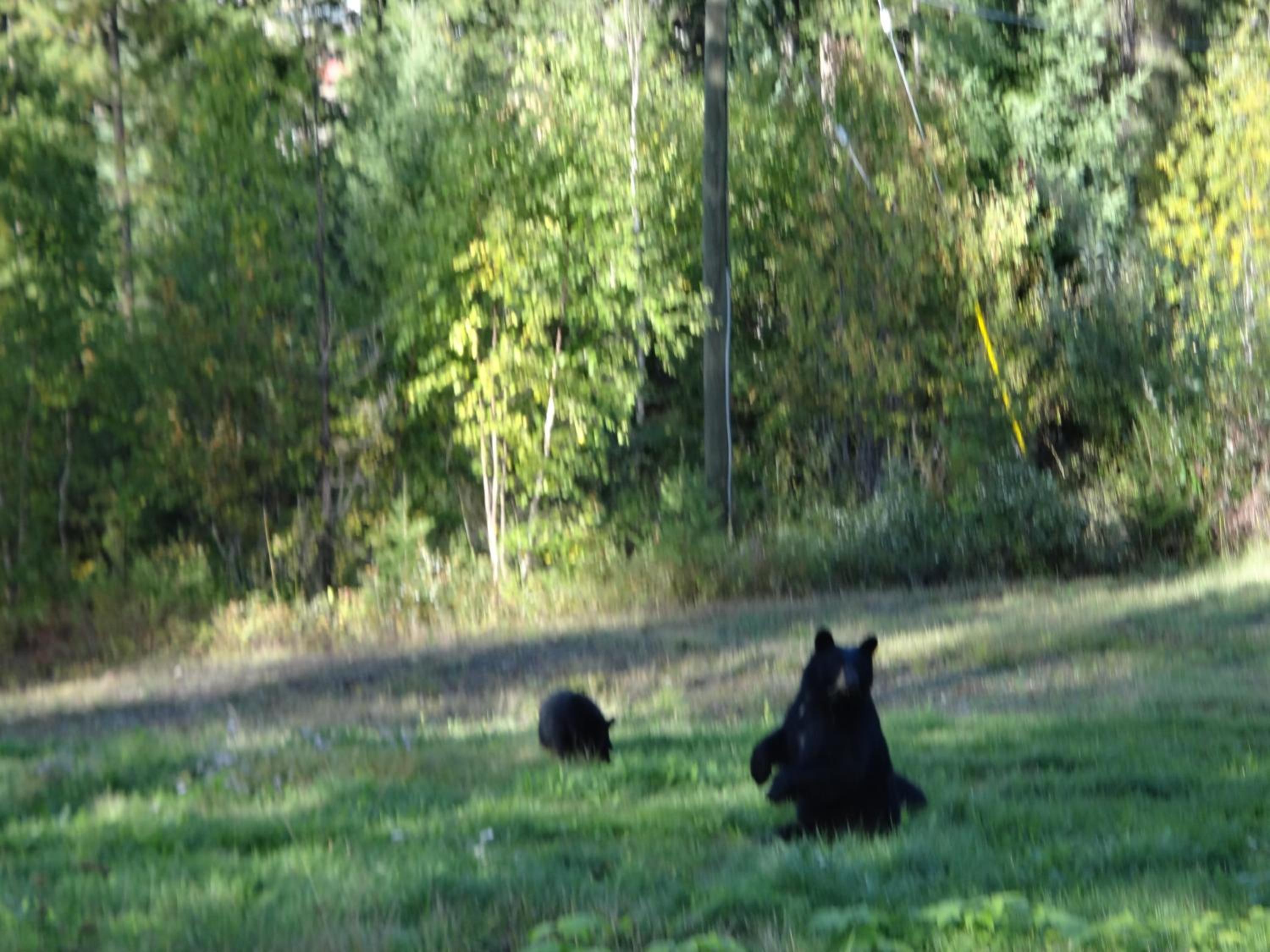 Photo 22
