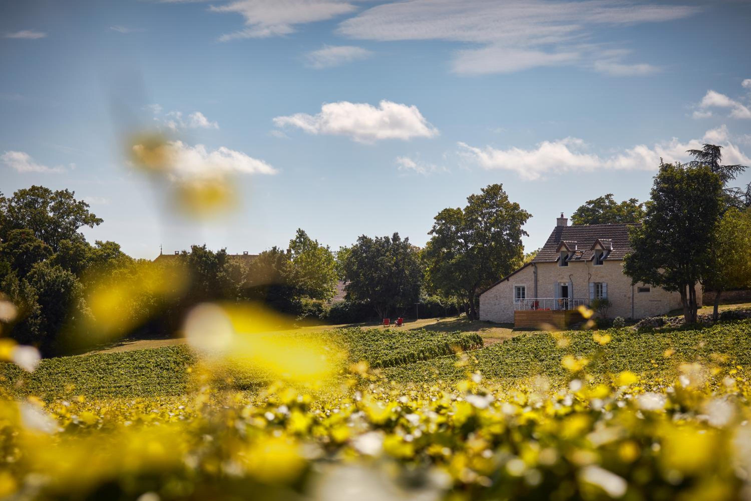 La Maison du Clos du Roi