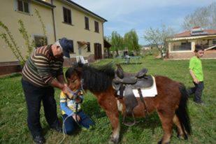 Agriturismo Terra Di Elea azienda agricola di Raimondo MIchela