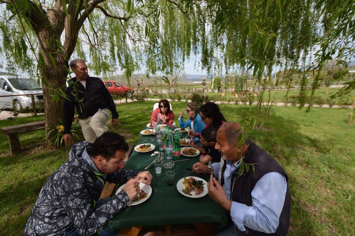 Agriturismo Terra Di Elea azienda agricola di Raimondo MIchela