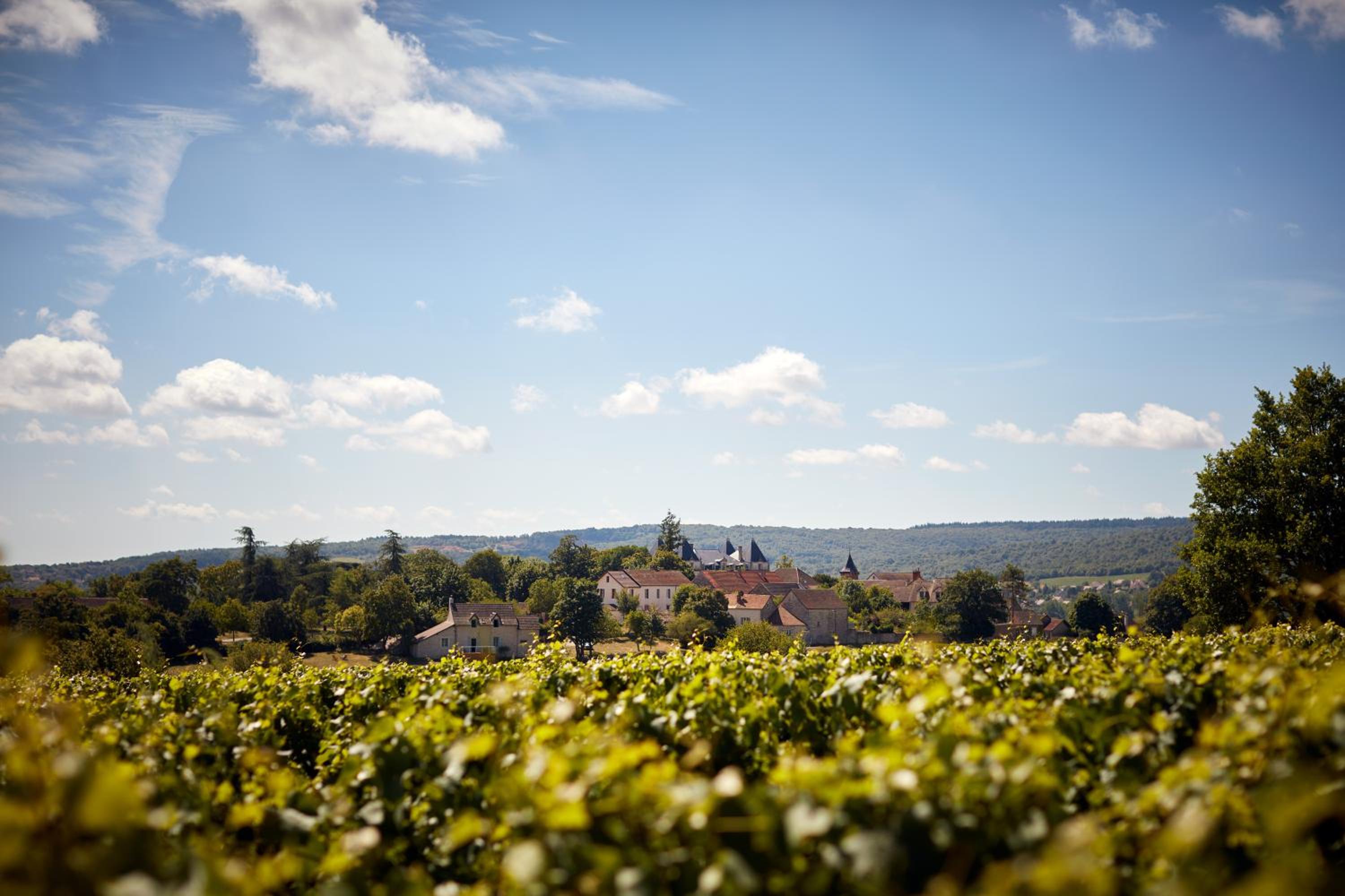 La Maison du Clos du Roi