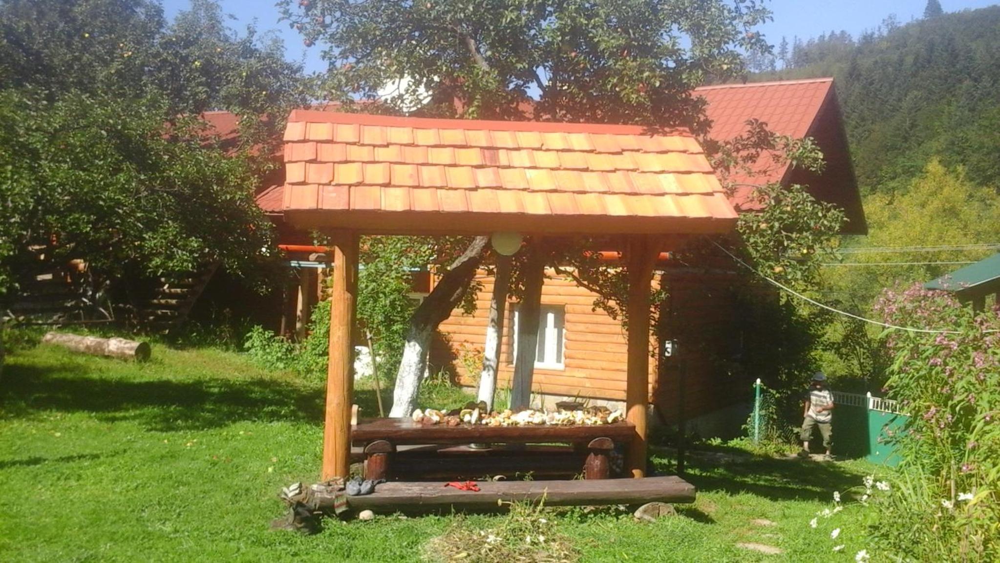 Photo 31