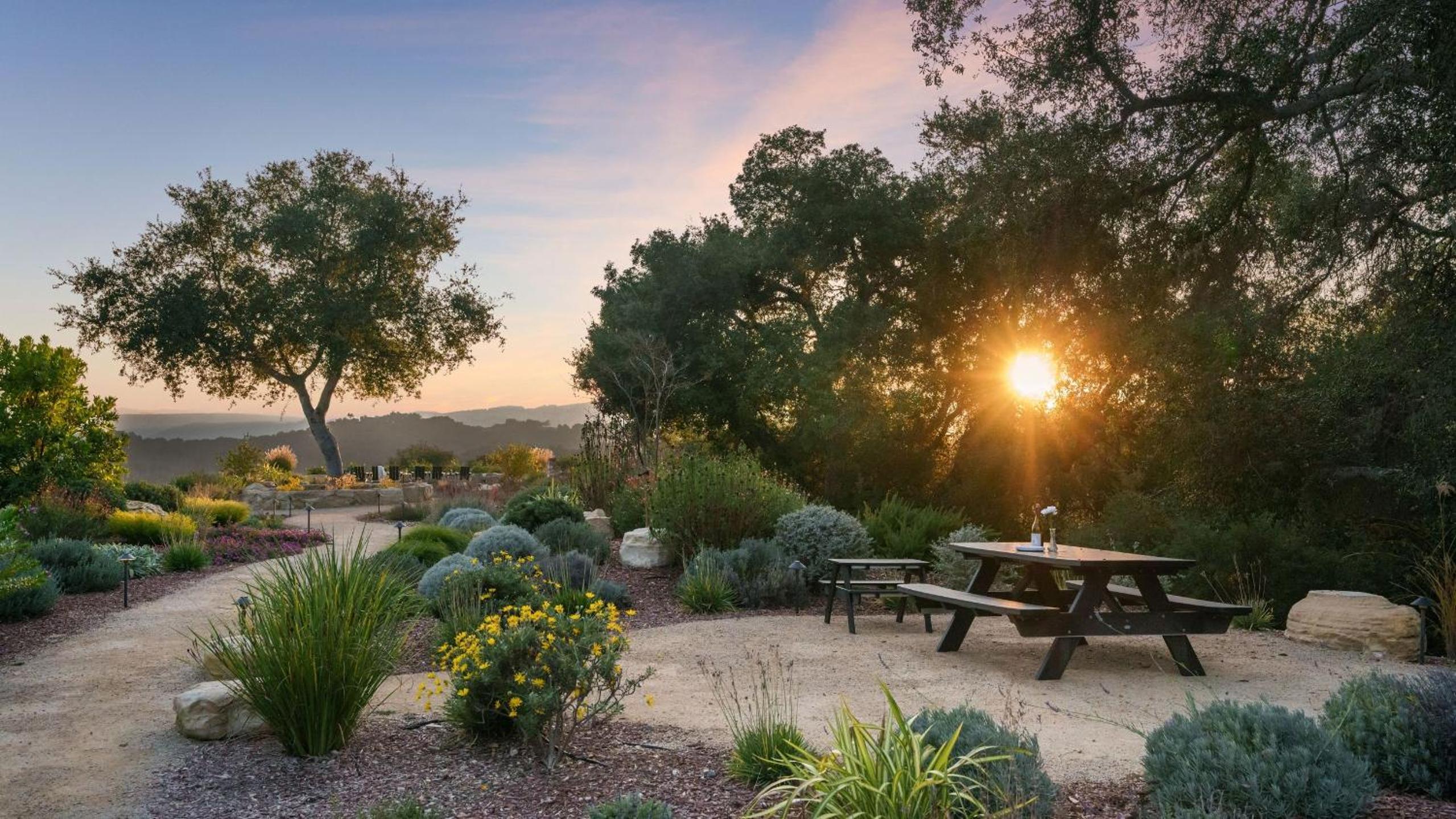 Vineyard Views w Pool Game Room Near Trails Wineries Beginnings Ranch Vineyard by AvantStay